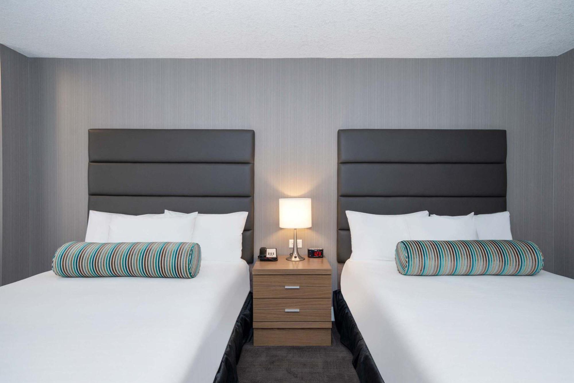 Standard Room 2 Queen Beds