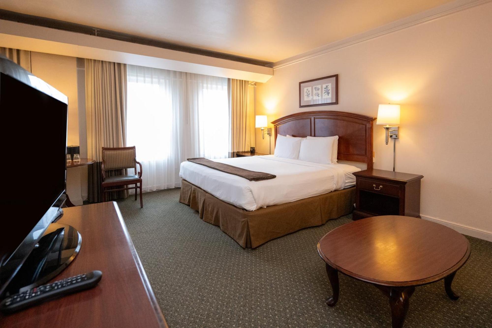 Junior Suite King Bed