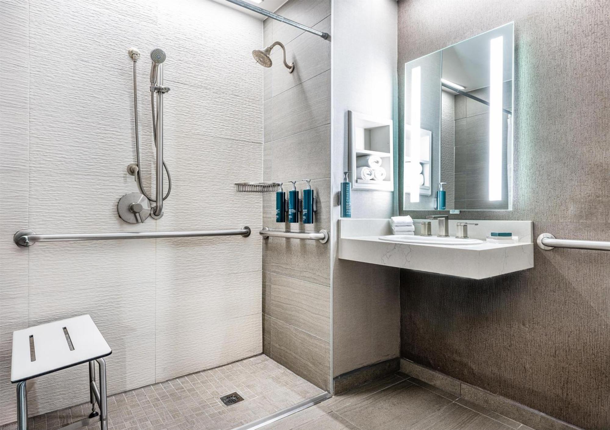 King Room Roll Shower Mobility or Hearing Accessible