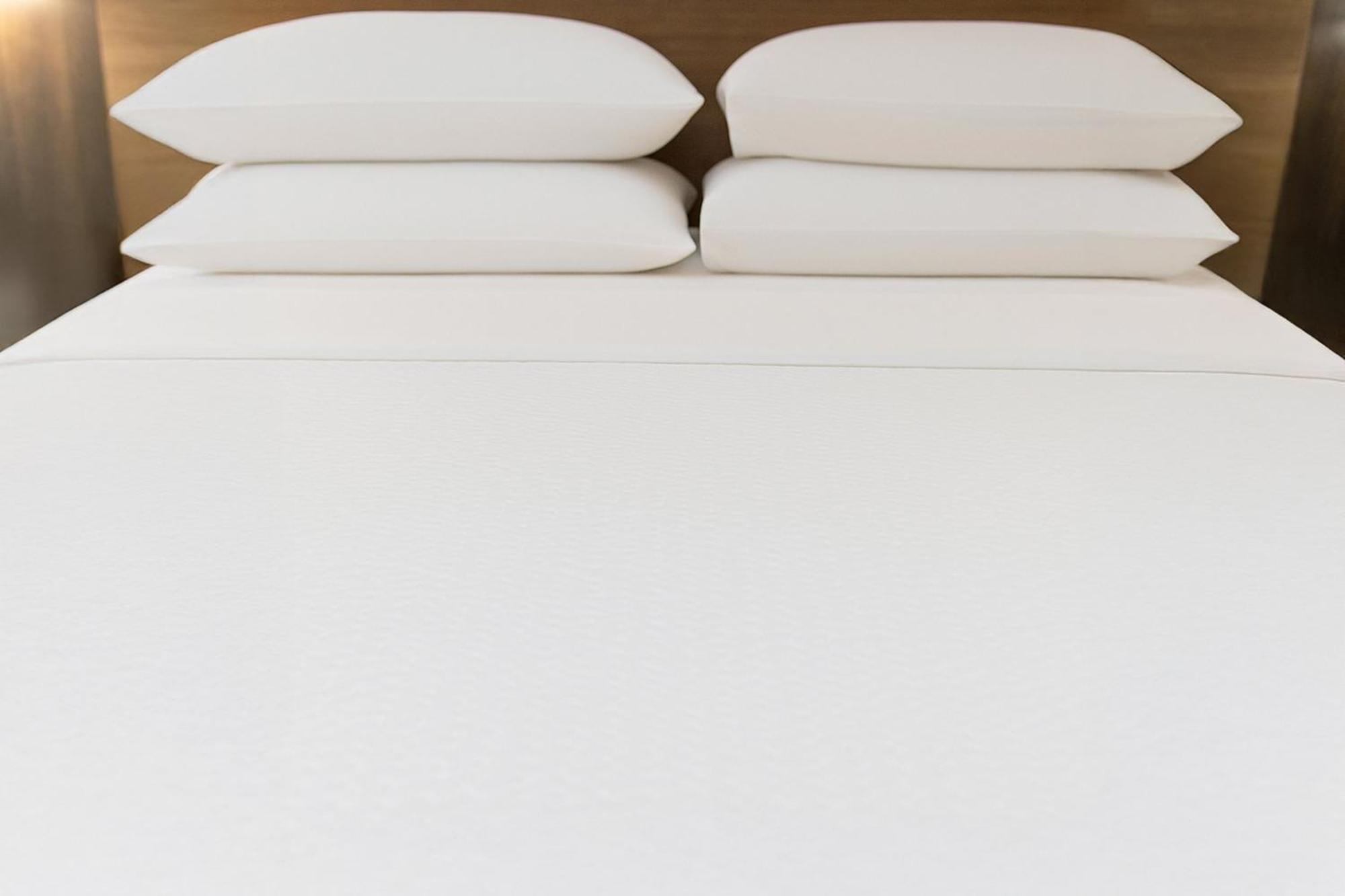 King Suite Sofa Bed