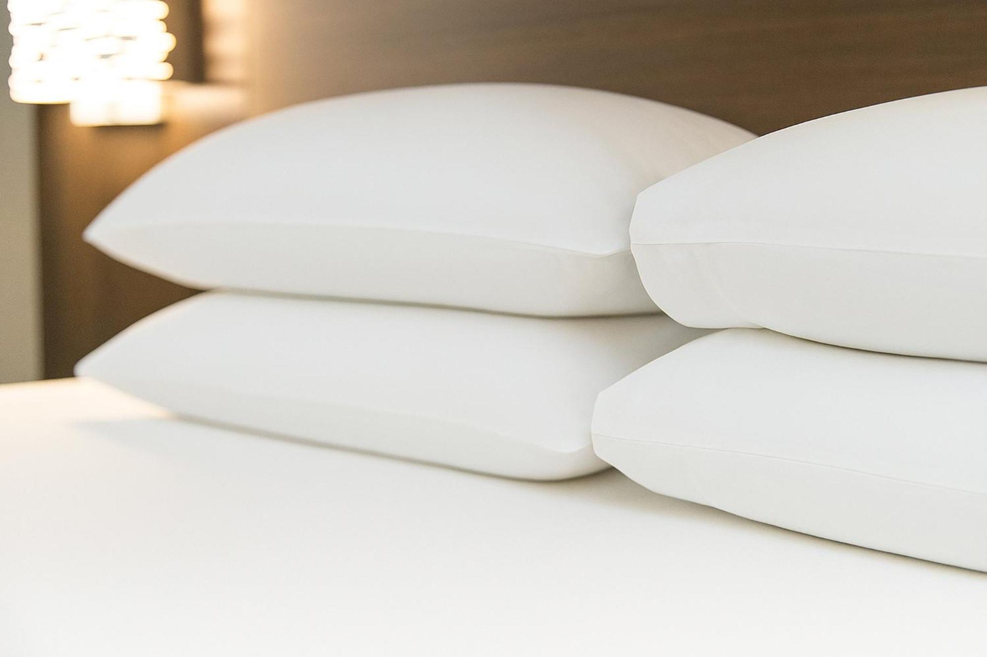 King Suite Sofa Bed