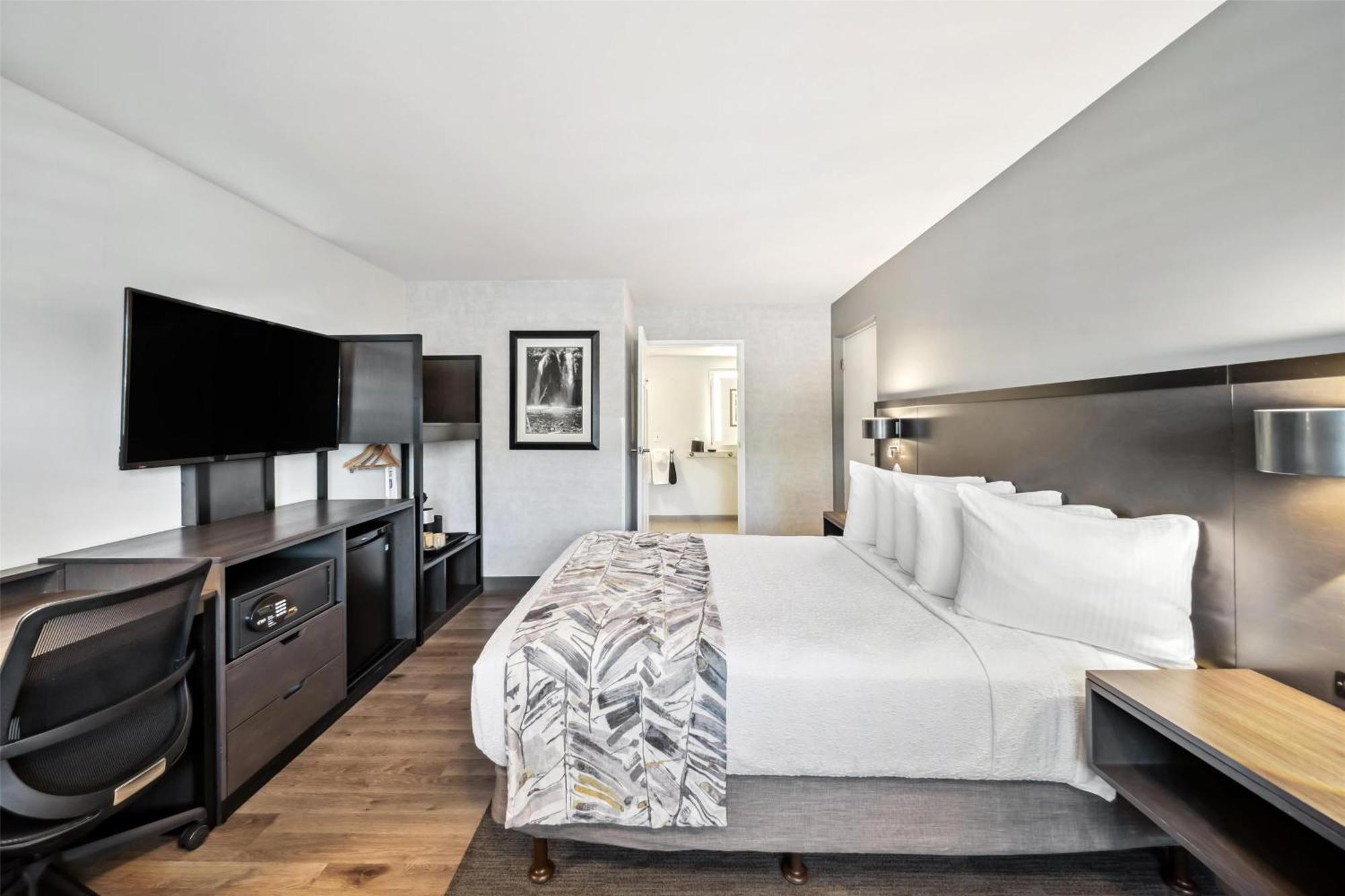 Queen Room Roll Shower Disability Access or Pet Friendly or Non-Smoking