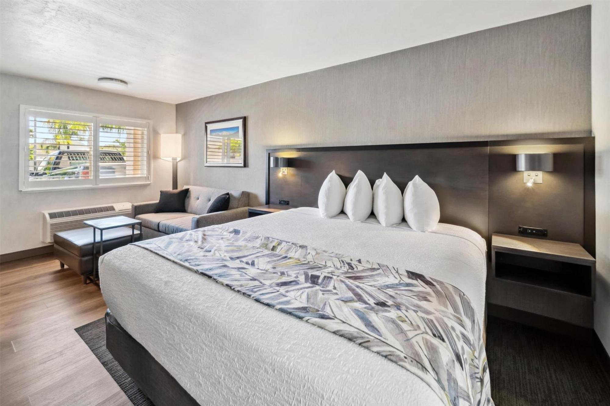 King Room Sofa Bed Pet Friendly or Non-Smoking