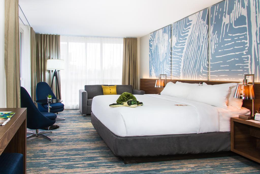 Junior Suite King Bed Queen Bed Sofa Bed,706884910:JPEG