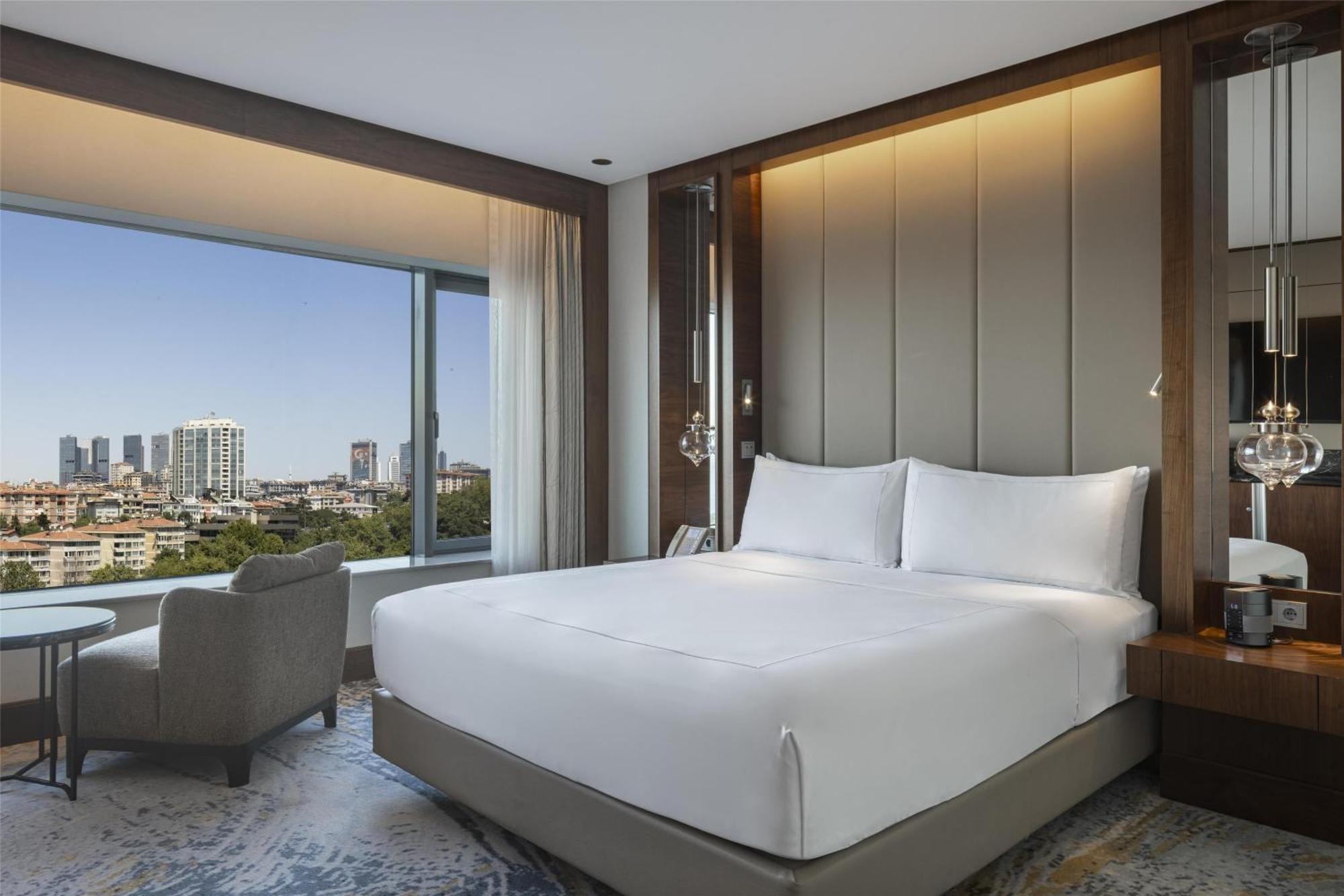 Deluxe King Room Park View