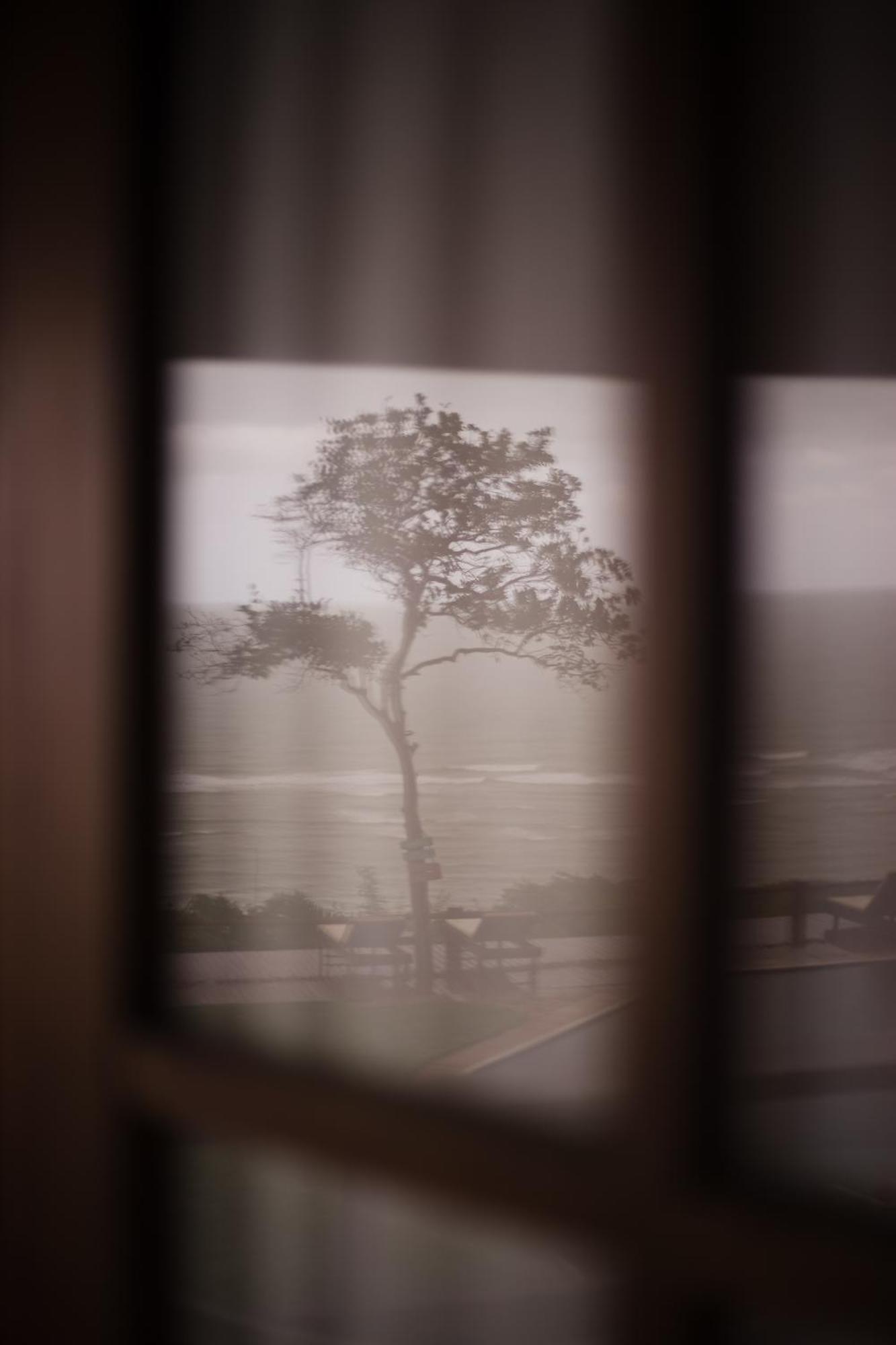King Room Sea View