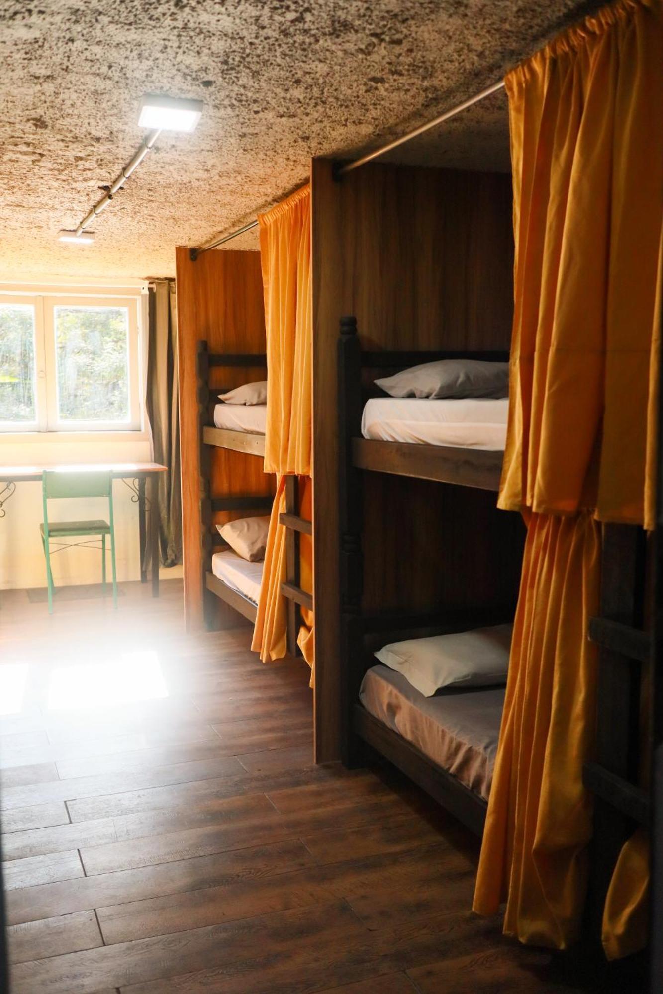 Bunk Bed Mixed Dormitory Room