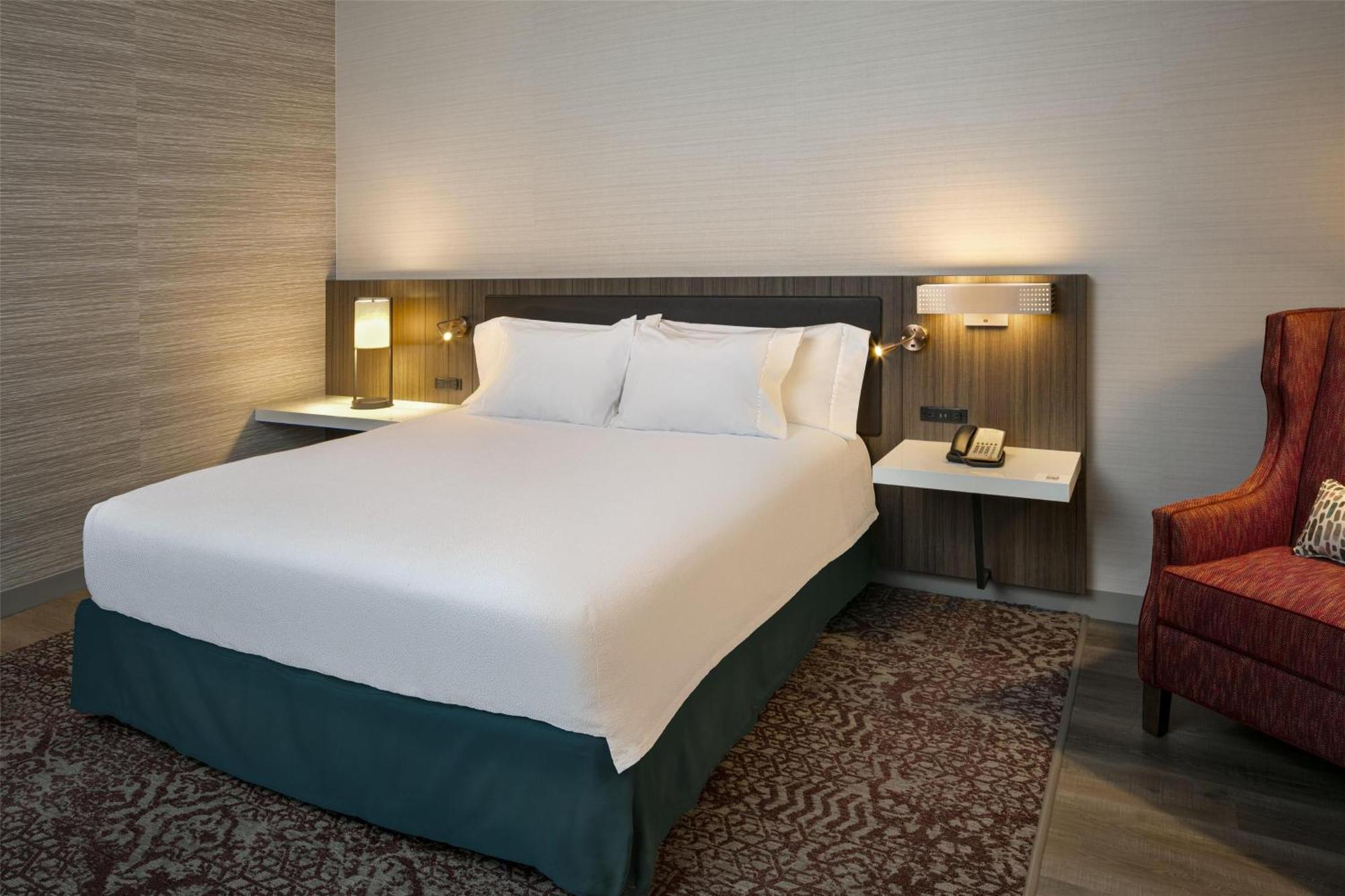 King Room Accessible Tub Mobility Access