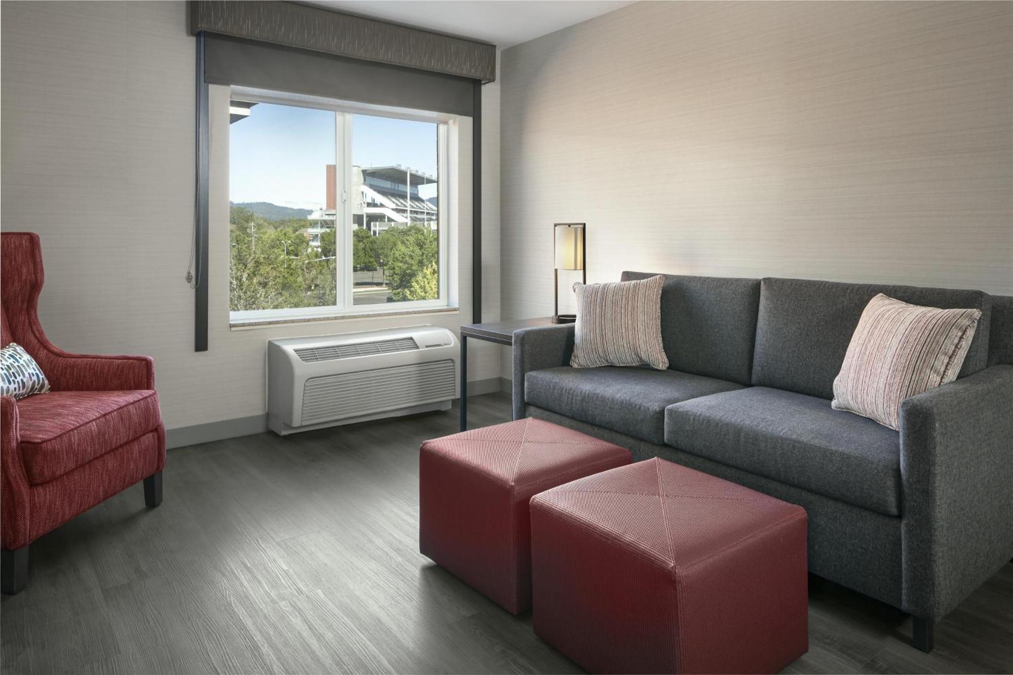 King Room Sofa Bed