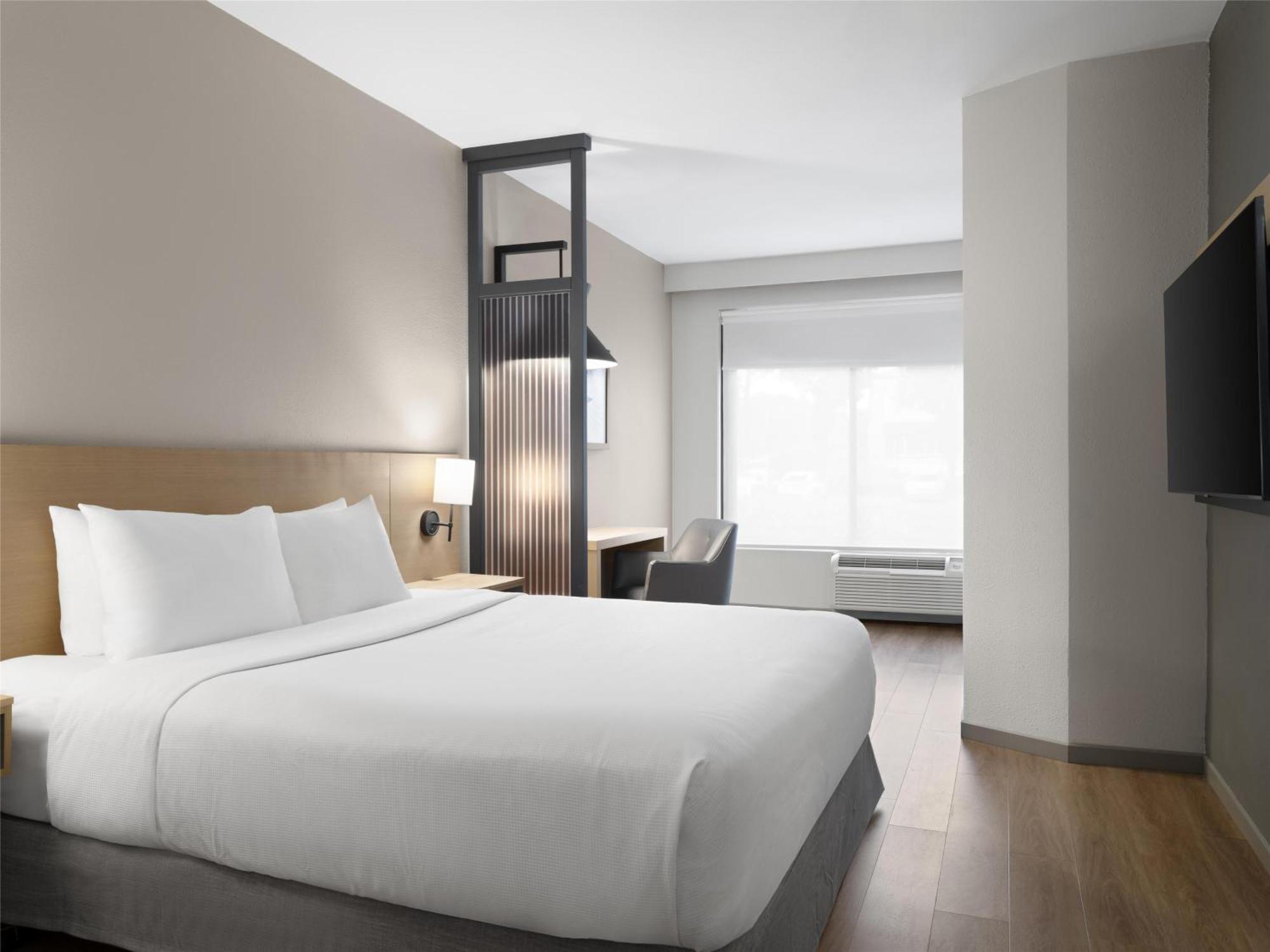 King Room Sofa Bed High Floor,1730047724:JPEG