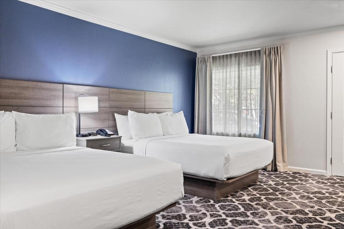 Quadruple Room Two Queen Beds Non Smoking or Pet Friendly