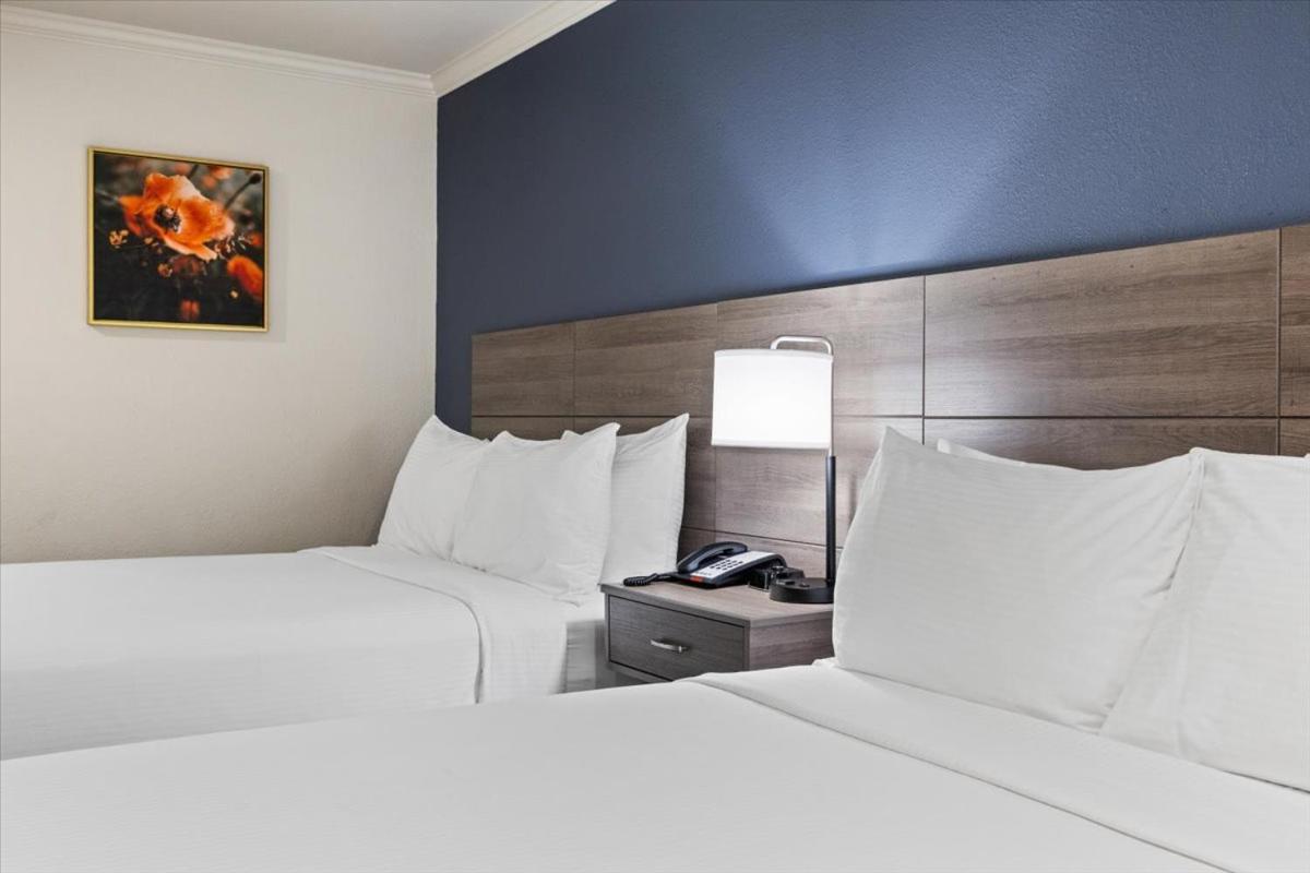 Quadruple Room Two Queen Beds Non Smoking or Pet Friendly