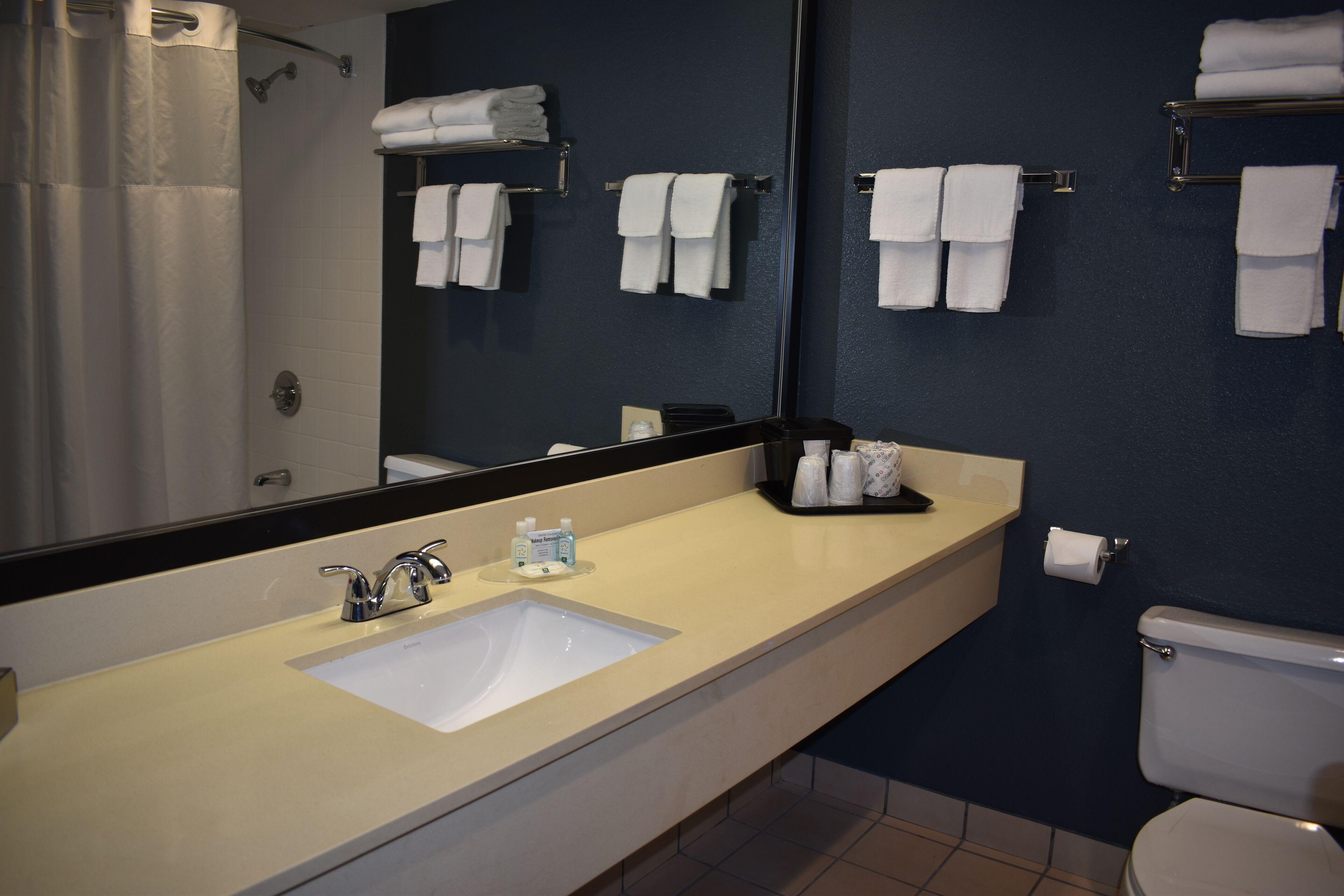 Executive Queen Room Two Queen Beds Non-Smoking or No Pets