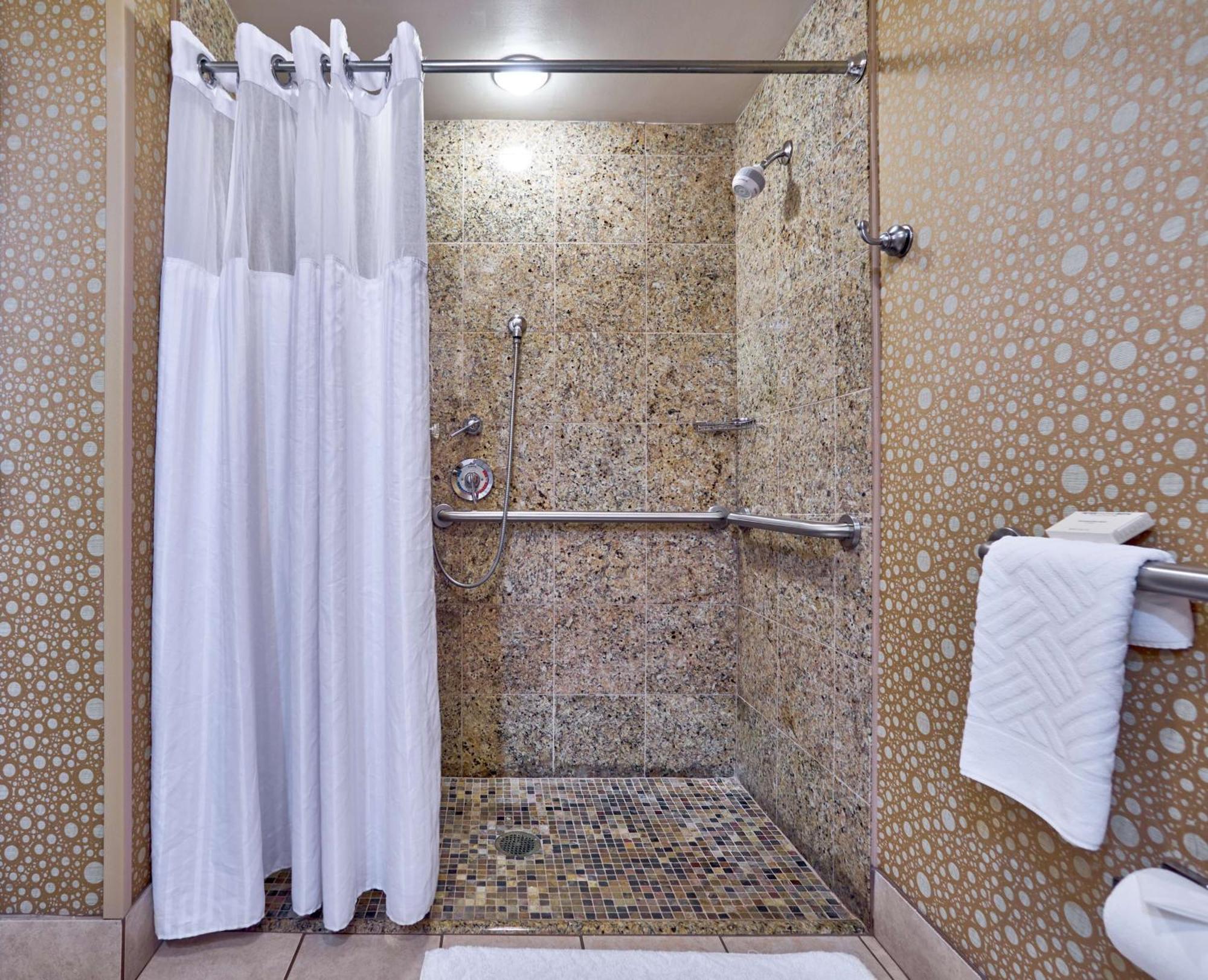 King Room Roll Shower Mobility Access