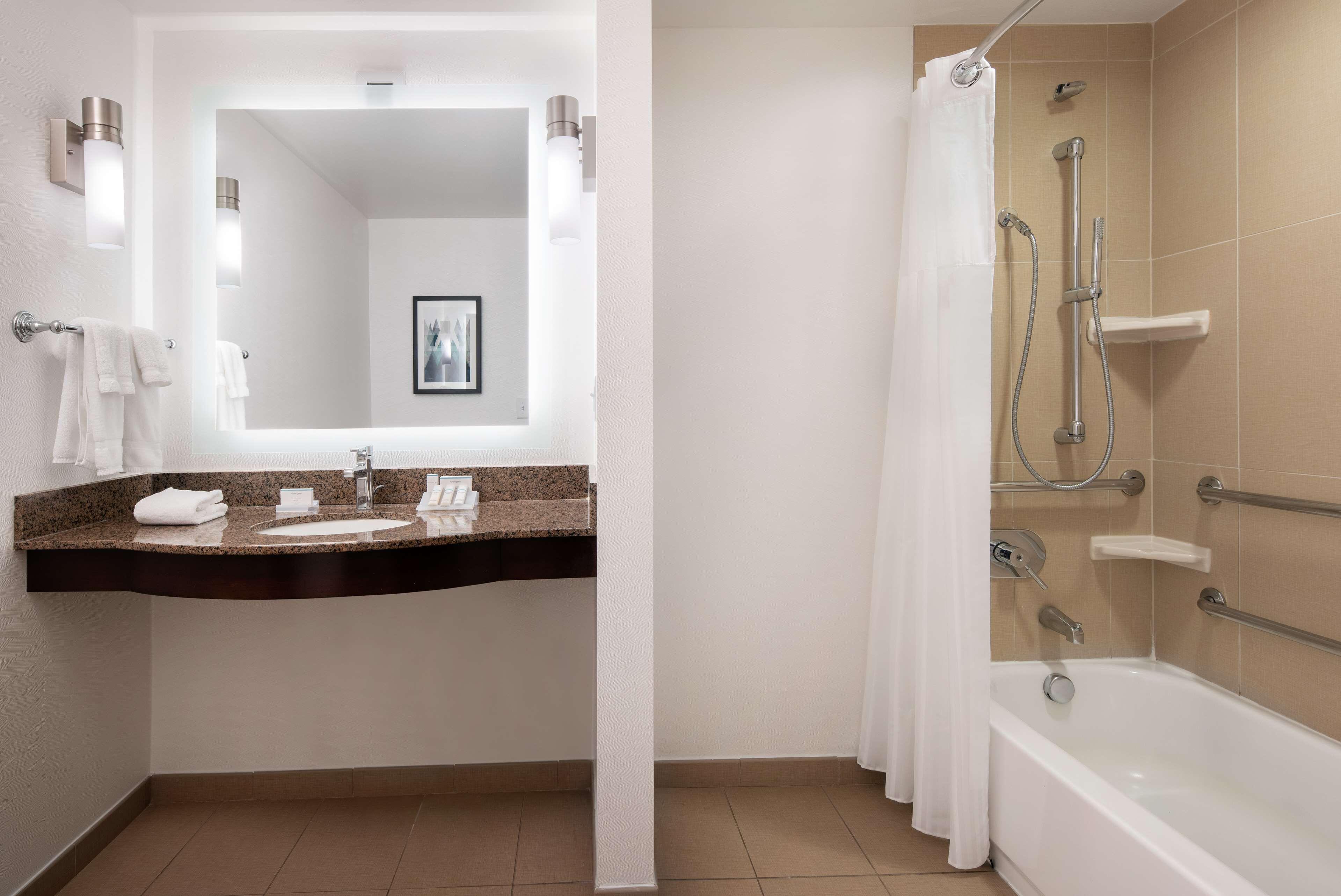 King Room Bath Tub Mobility Access