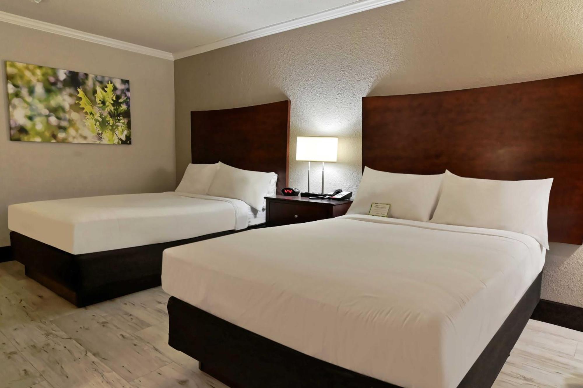 2 Double Beds Non-Smoking,1705877952:JPEG
