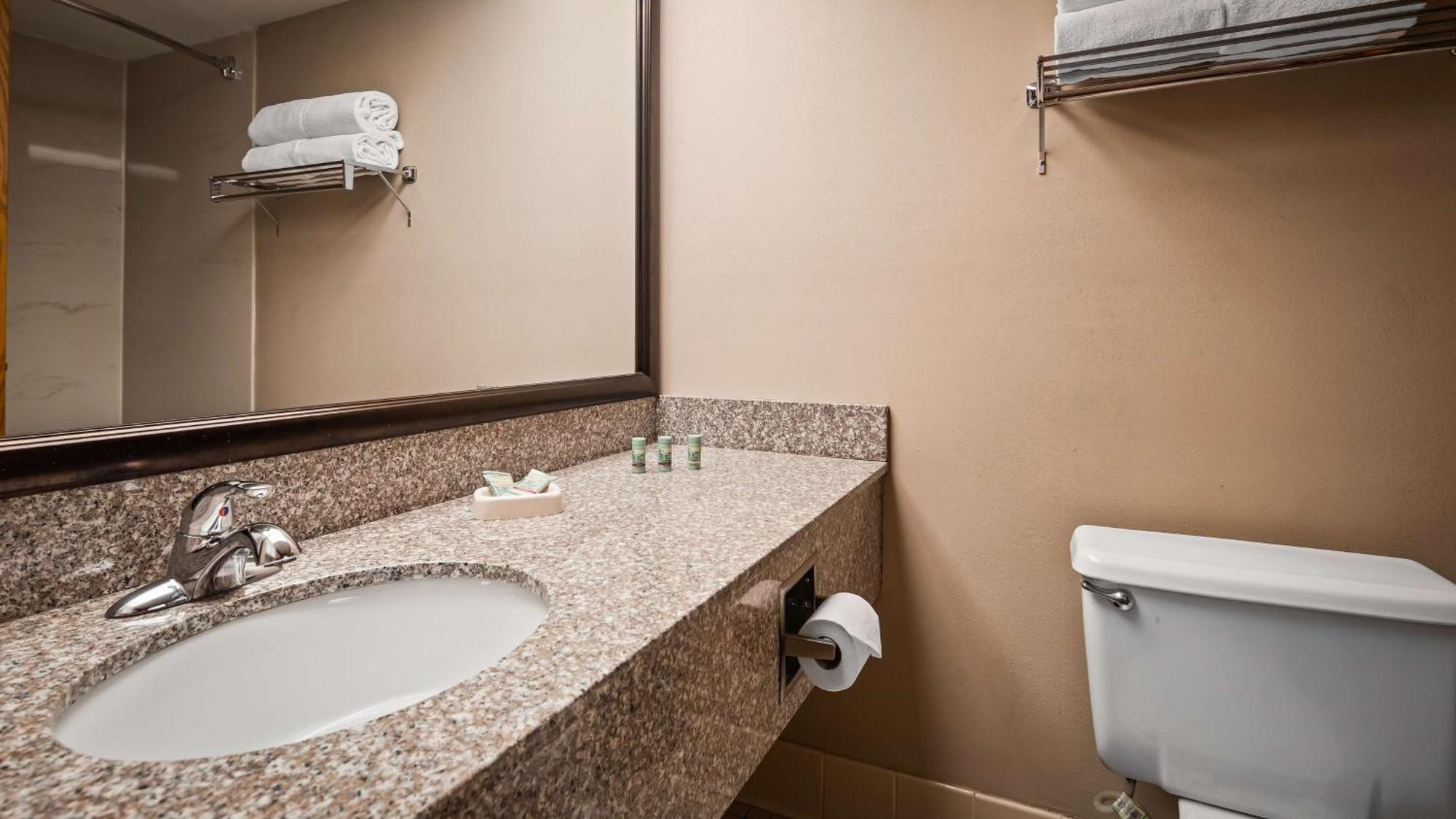 One-Bedroom King Suite