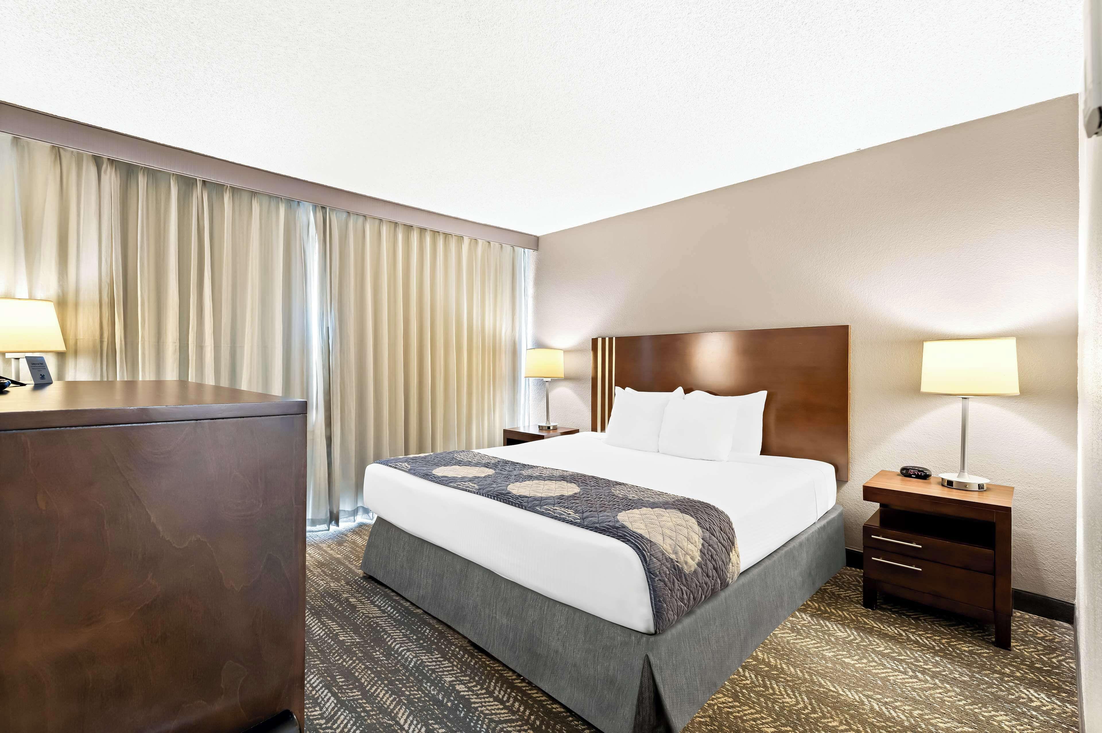 Standard King Room,1706453979:JPEG