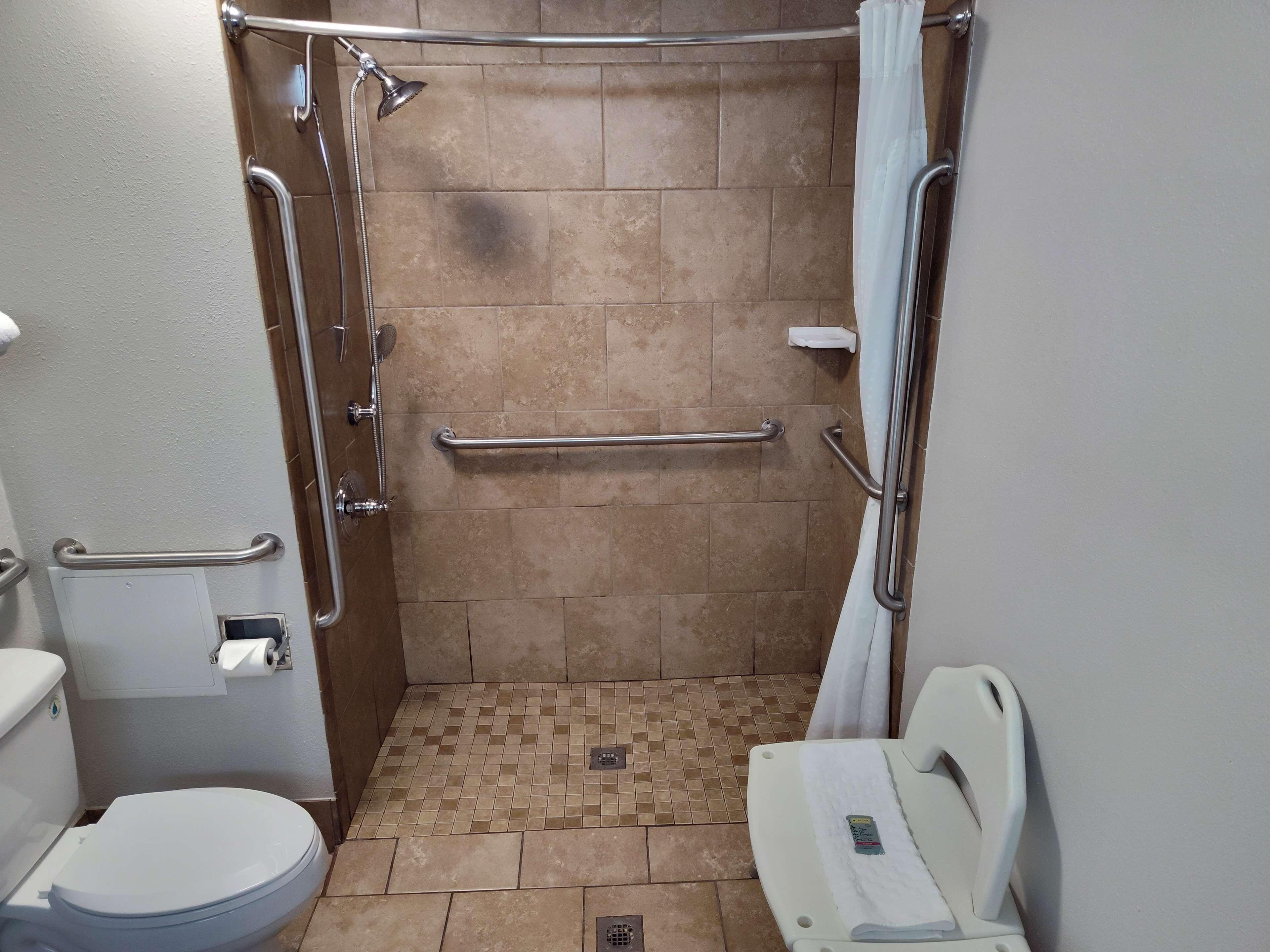 King Room Roll Shower Disability Access or Pet-Friendly