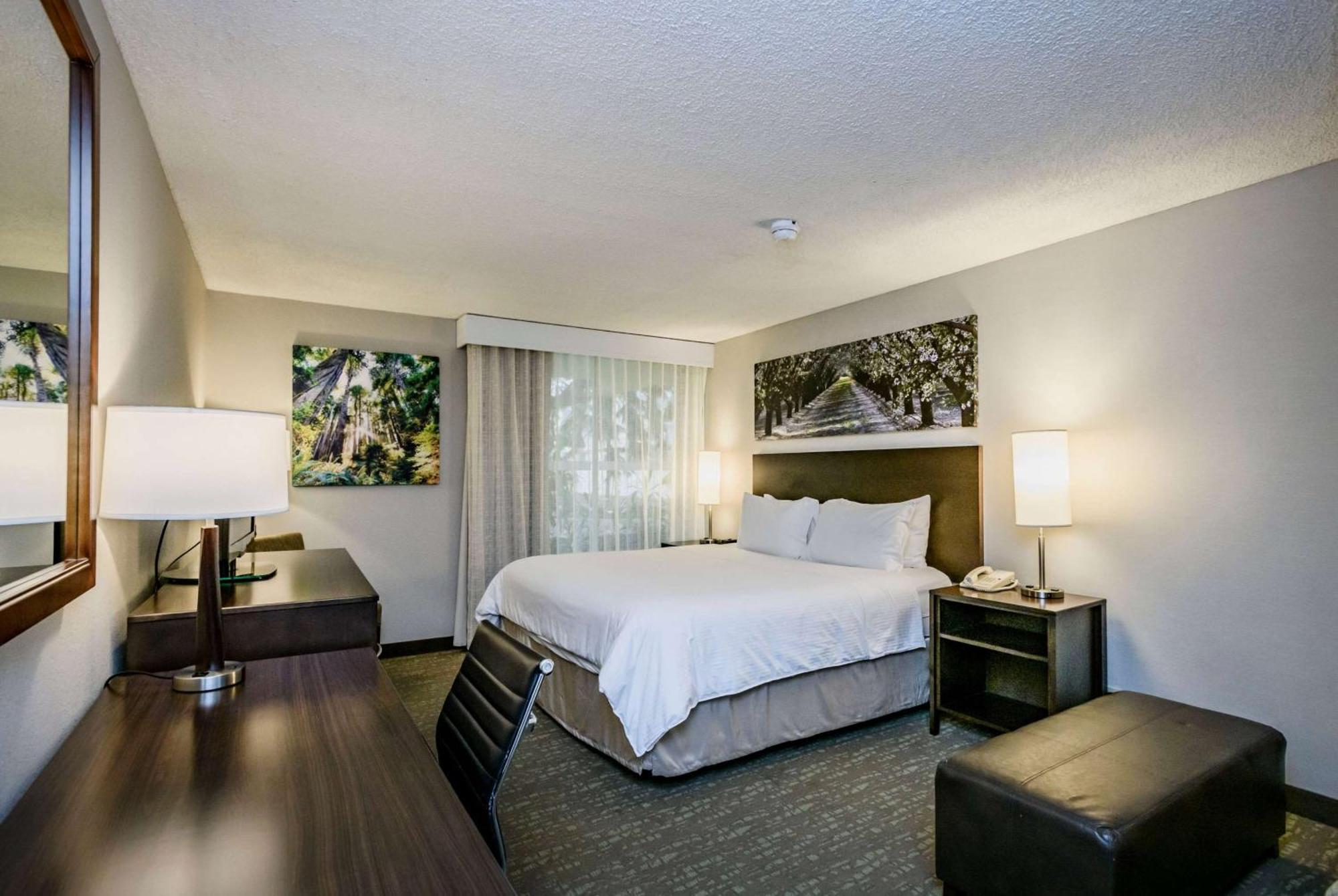 Deluxe King Room Pool View Non-Smoking