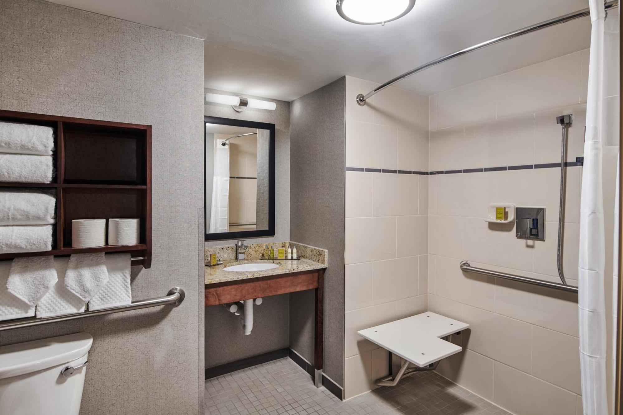 King Room Mobility Accessible Bath Tub