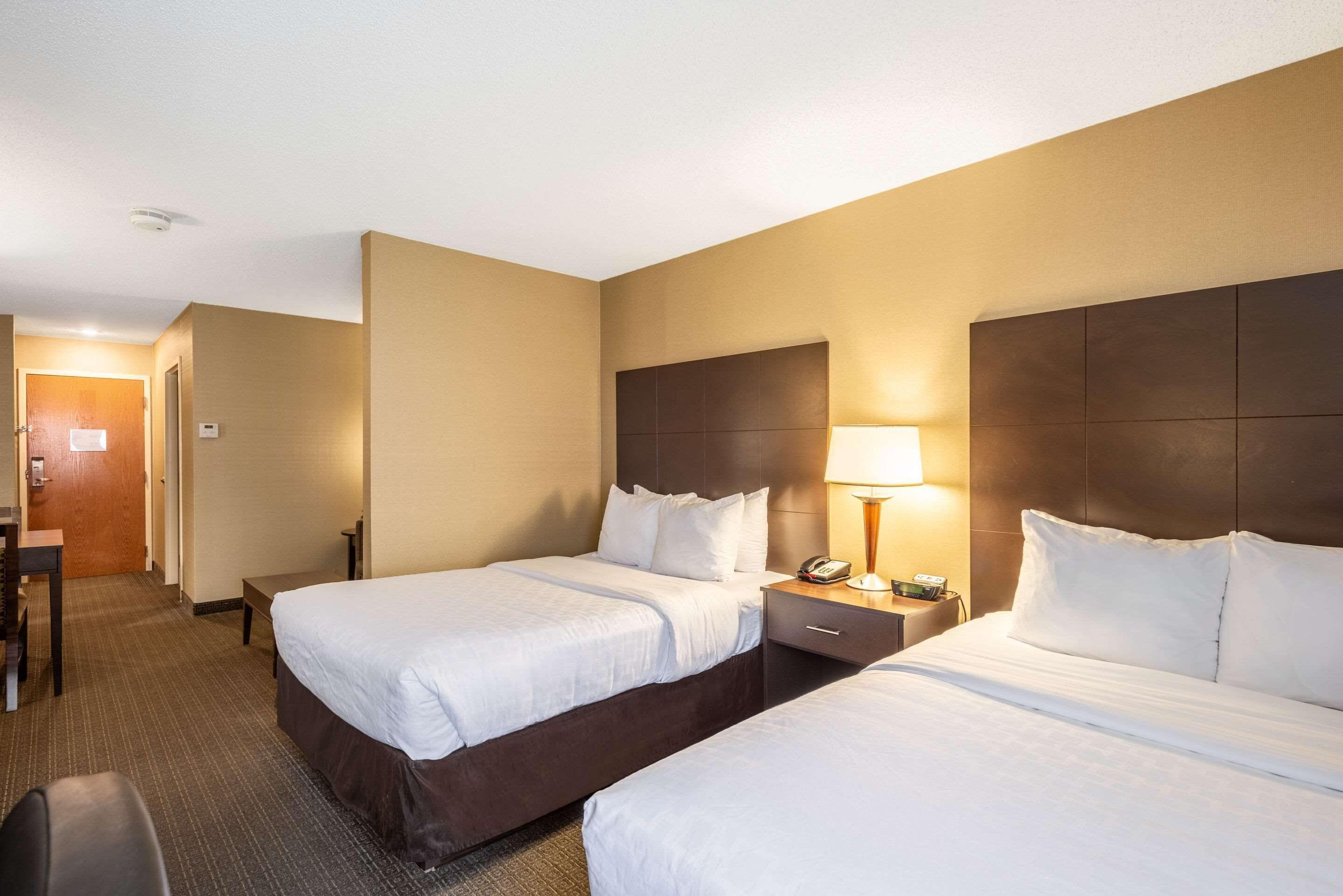 Double Suite Two Double Beds Sofa bed Non Smoking or Upper floor