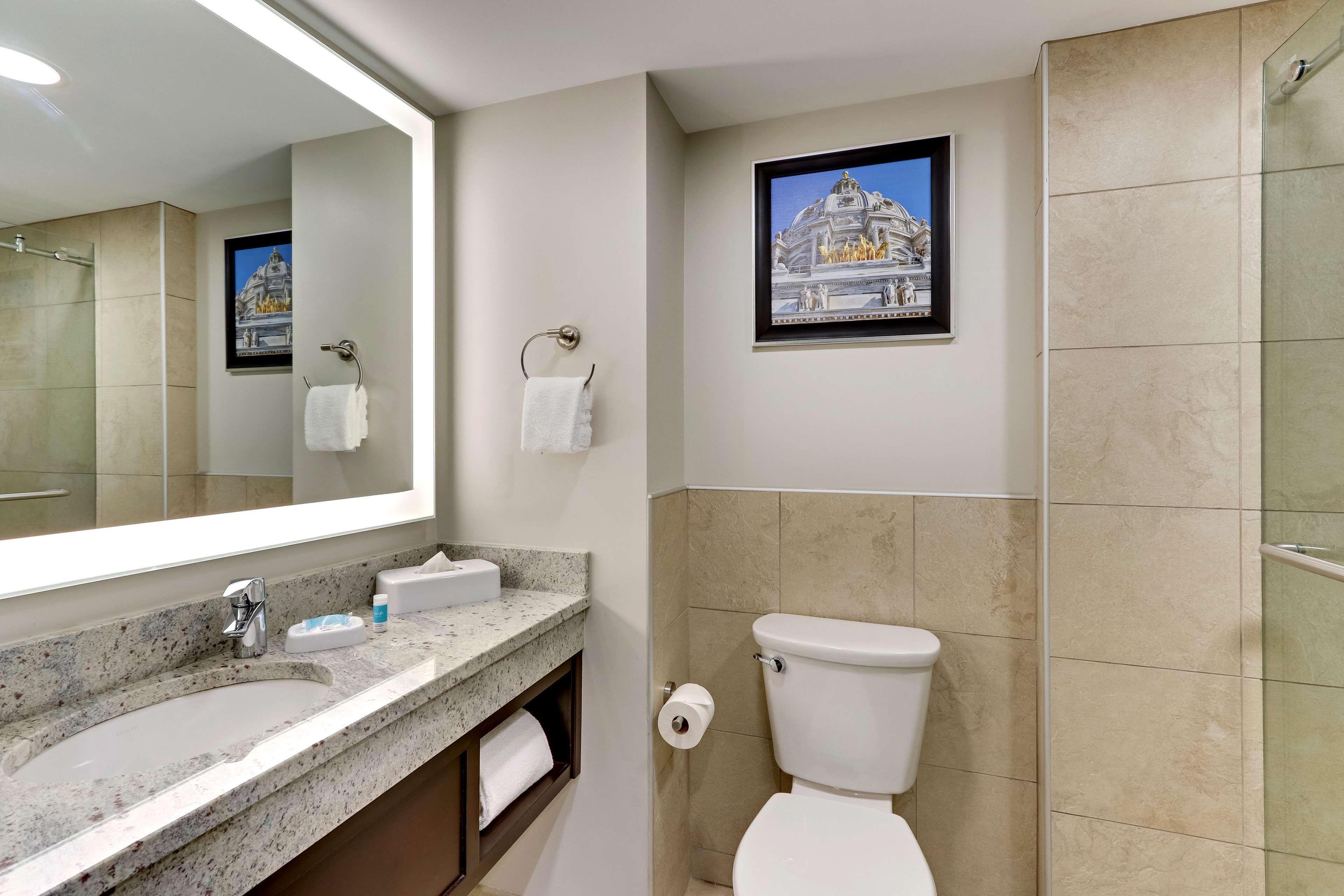 Deluxe King Suite