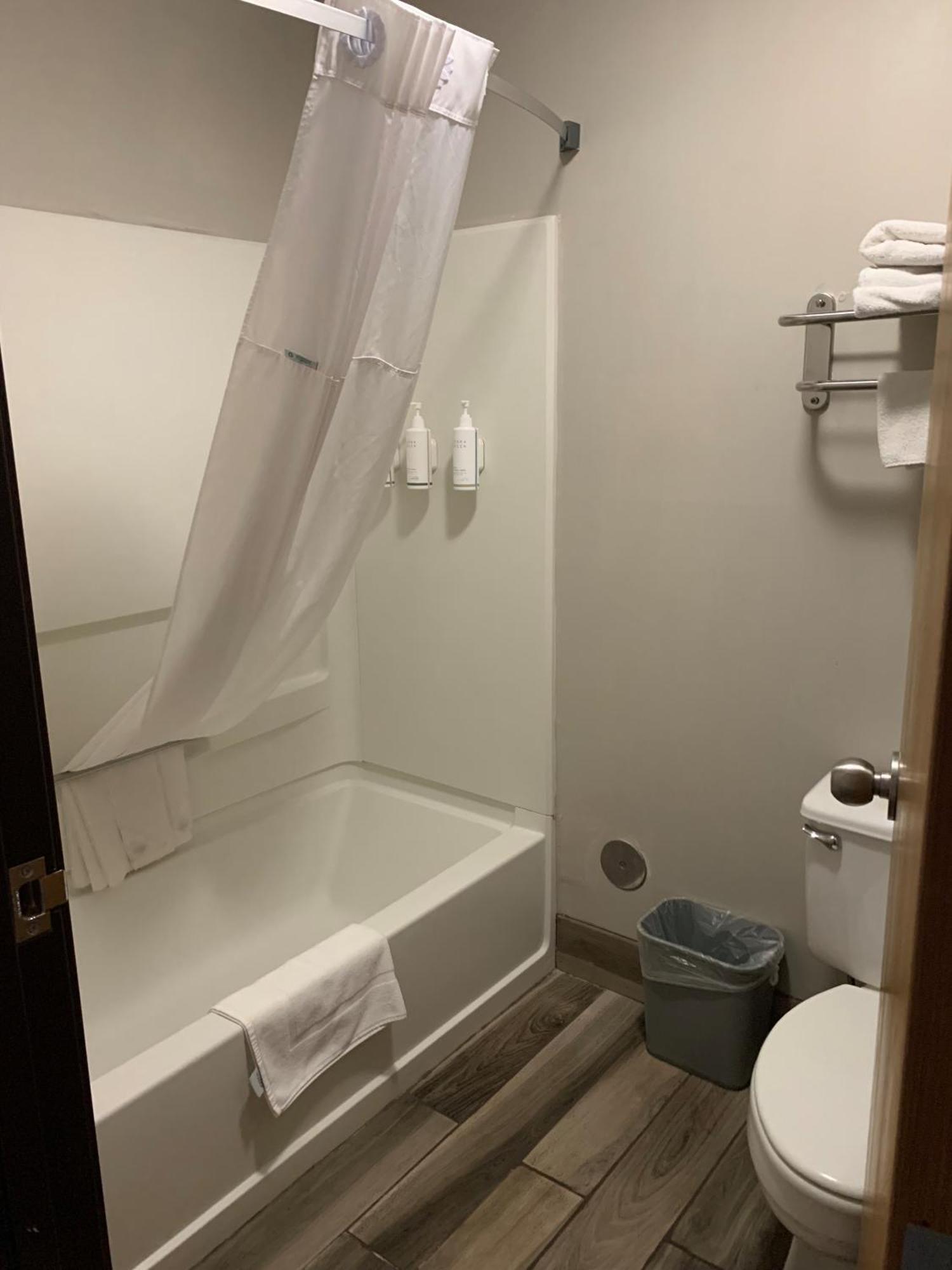 Studio Suite Two Queen Beds Non-Smoking,1756563768:JPEG