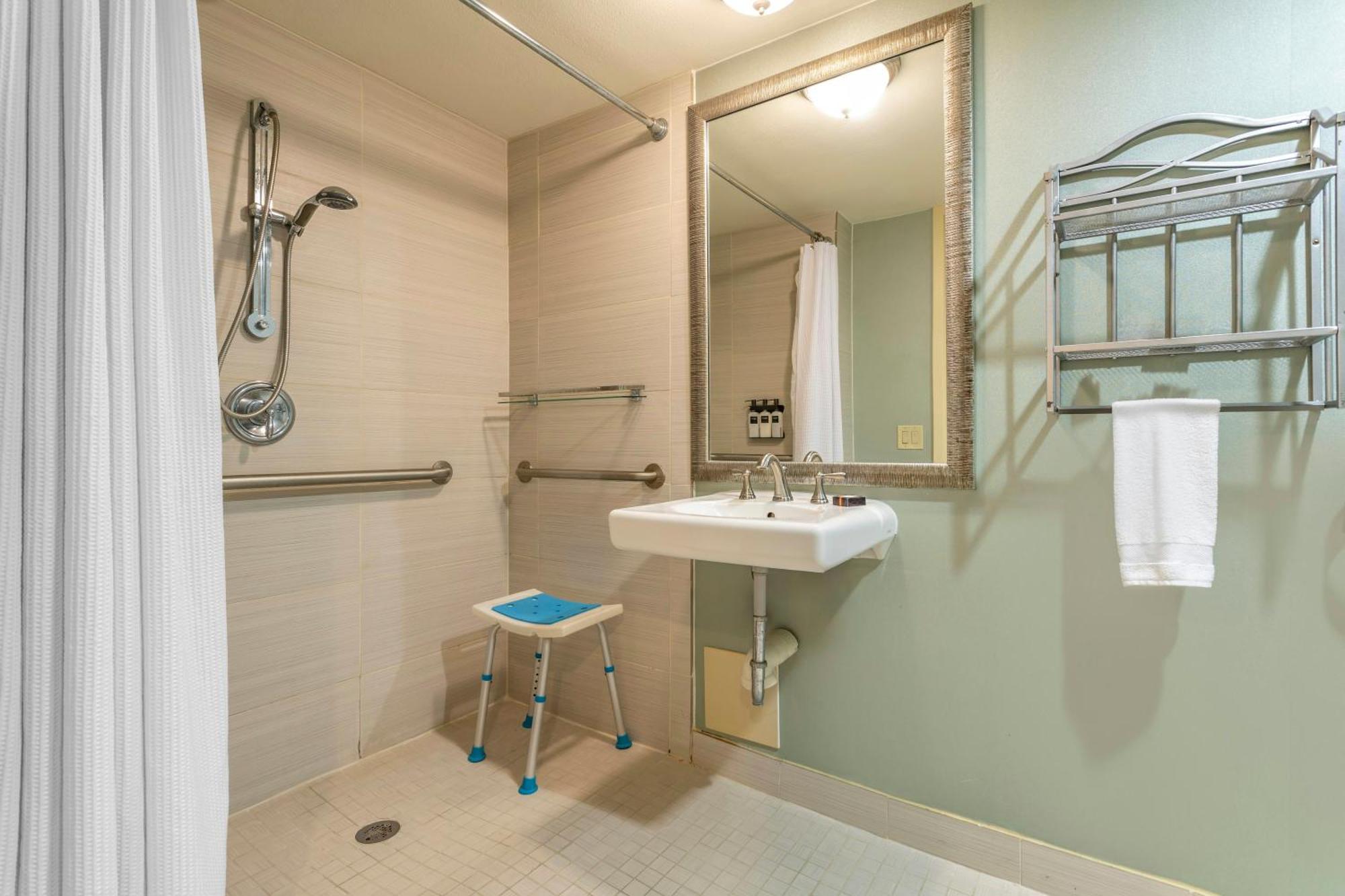 Deluxe King Room Disability Access