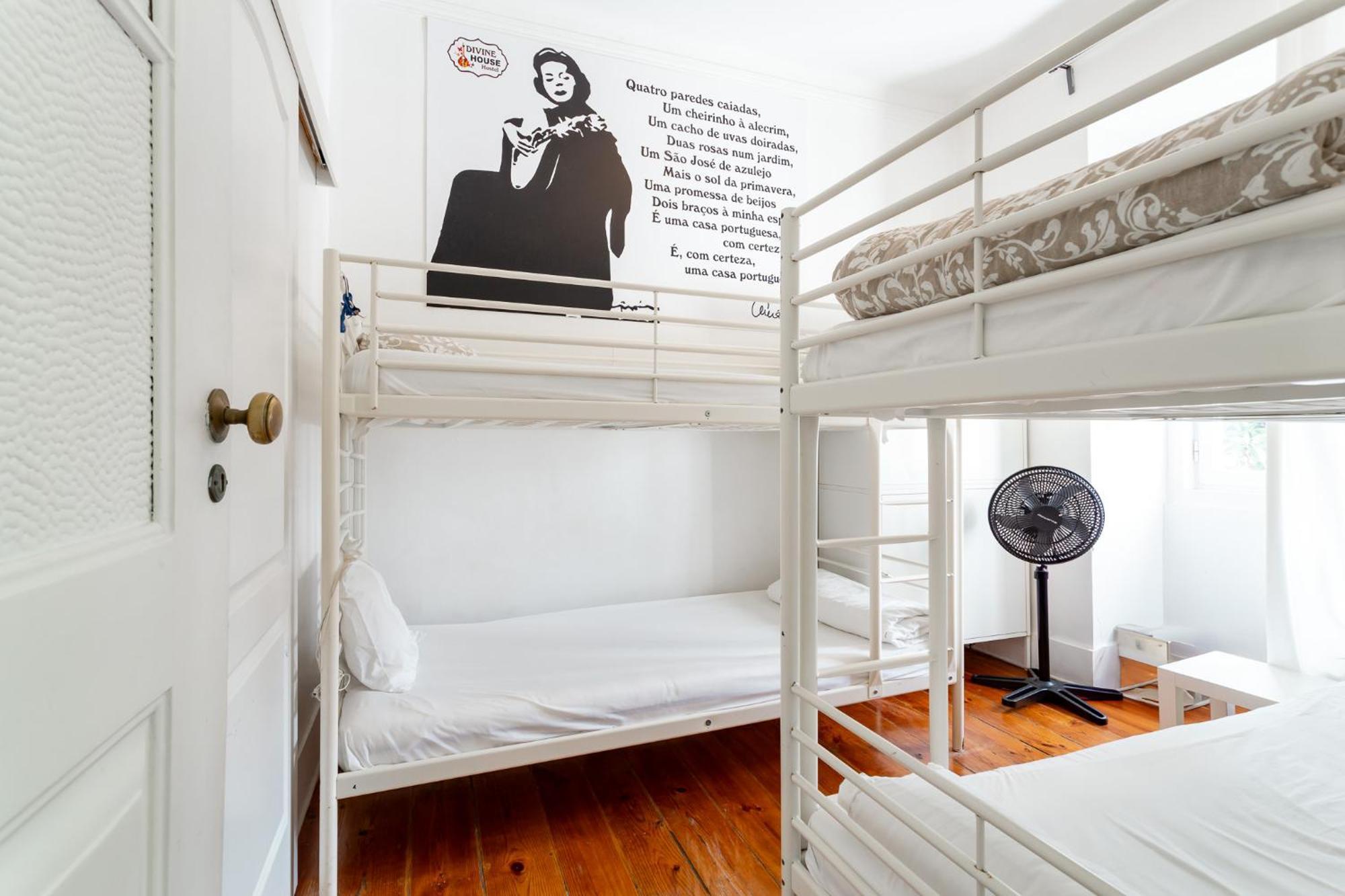 Bunk Bed Mixed Dormitory Room