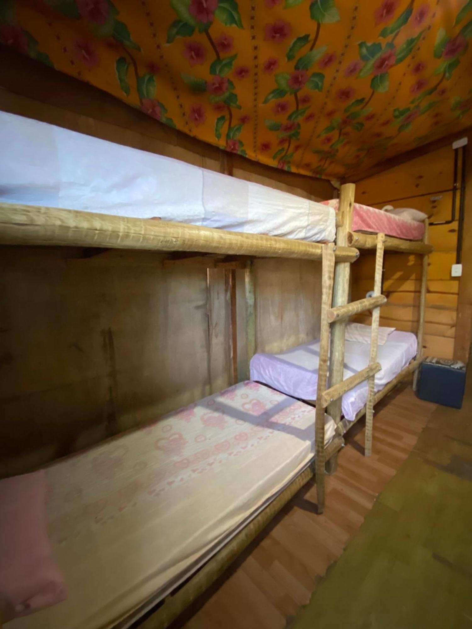 Bunk Bed Mixed Dormitory Room