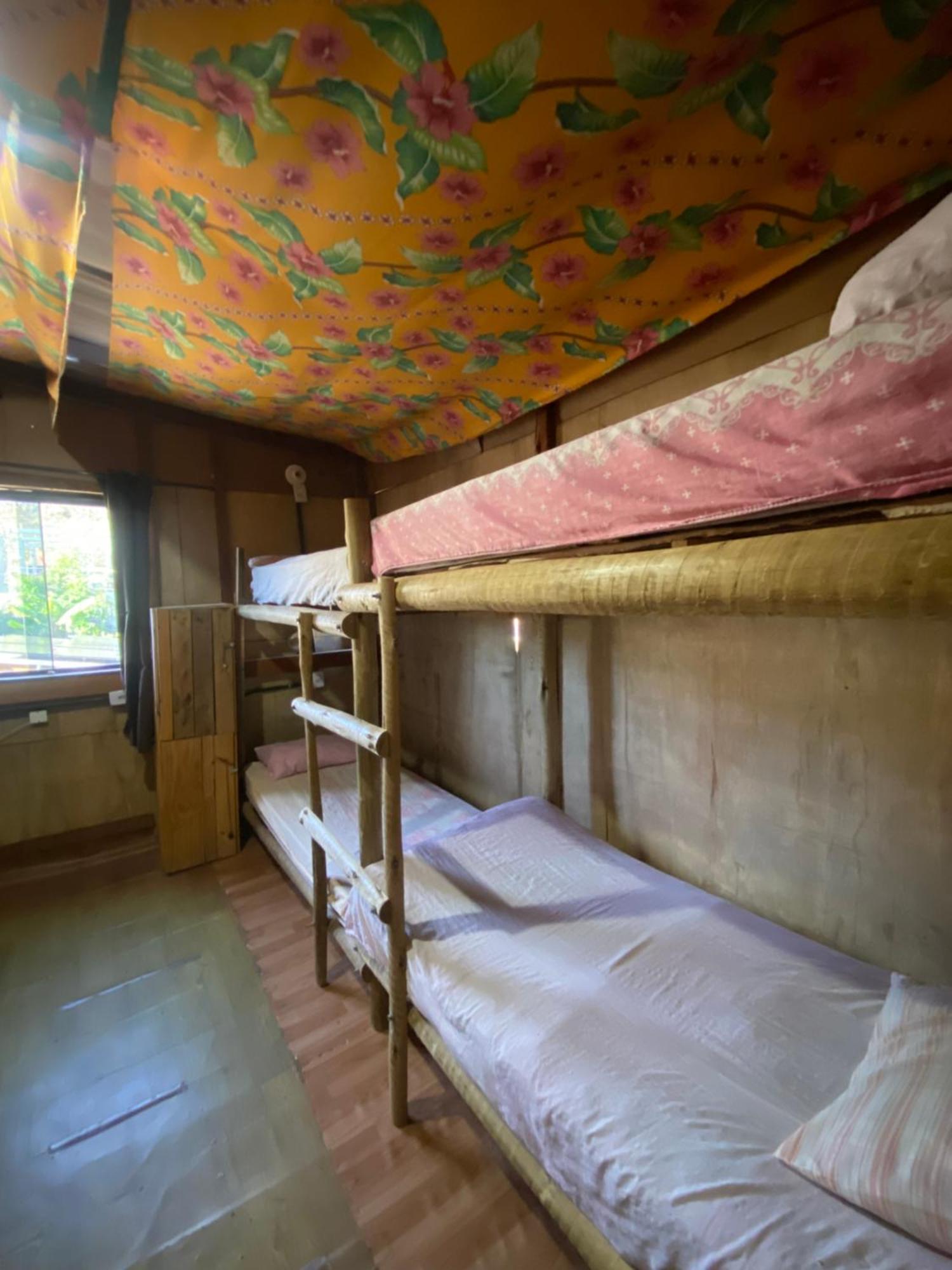 Bunk Bed Mixed Dormitory Room