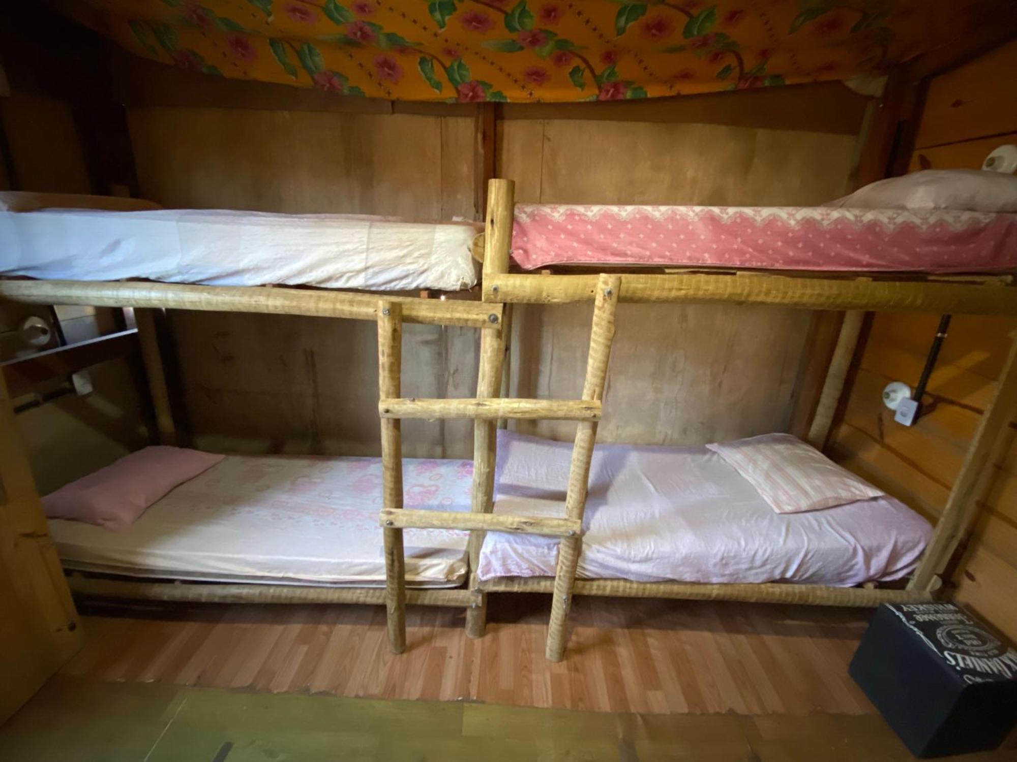 Bunk Bed Mixed Dormitory Room