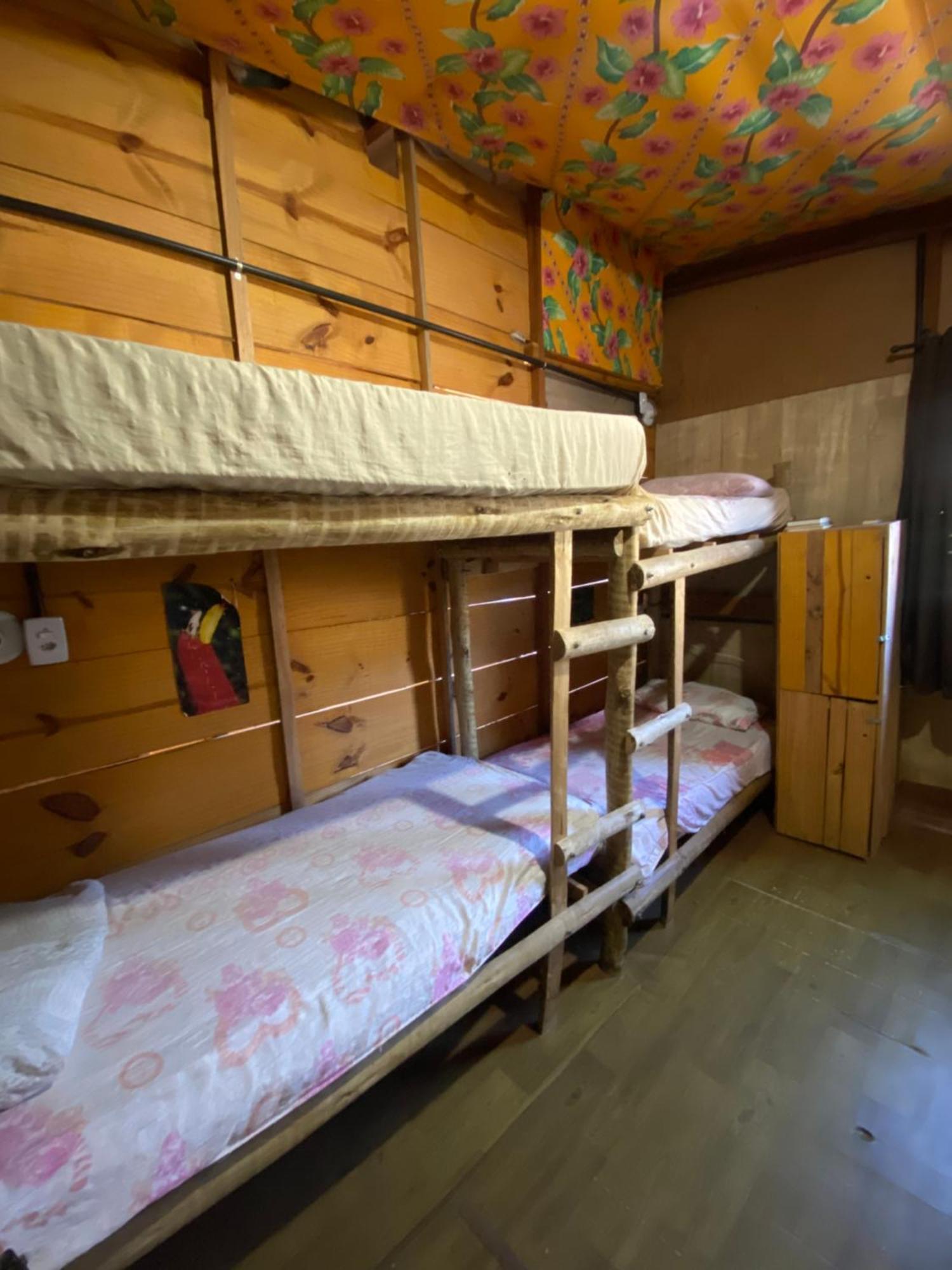 Bunk Bed Mixed Dormitory Room
