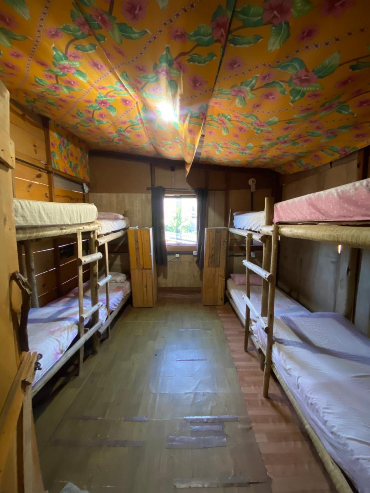 Bunk Bed Mixed Dormitory Room