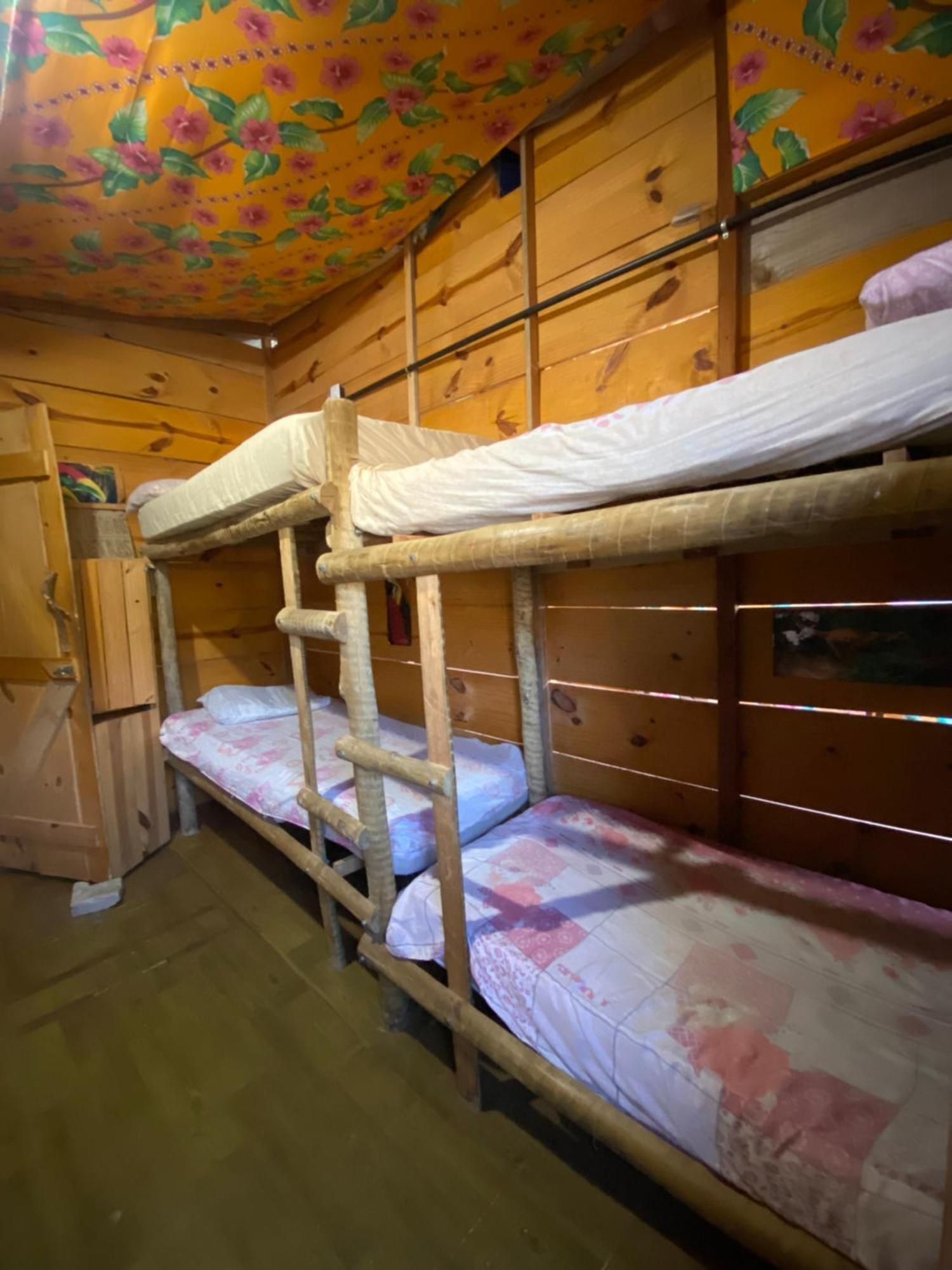 Bunk Bed Mixed Dormitory Room