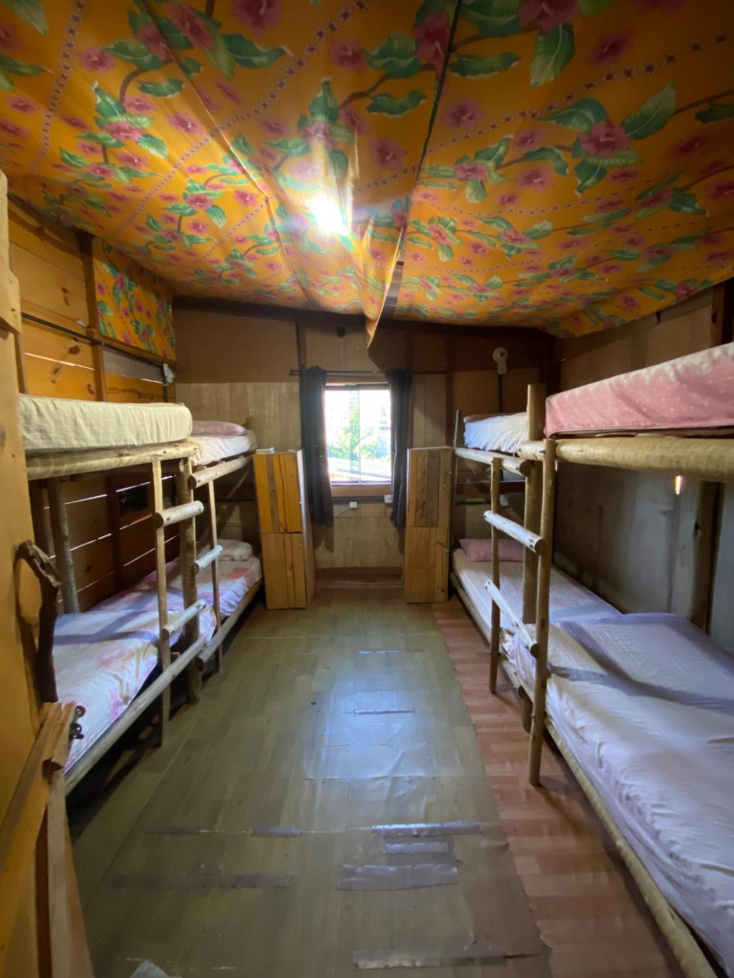 Bunk Bed Mixed Dormitory Room