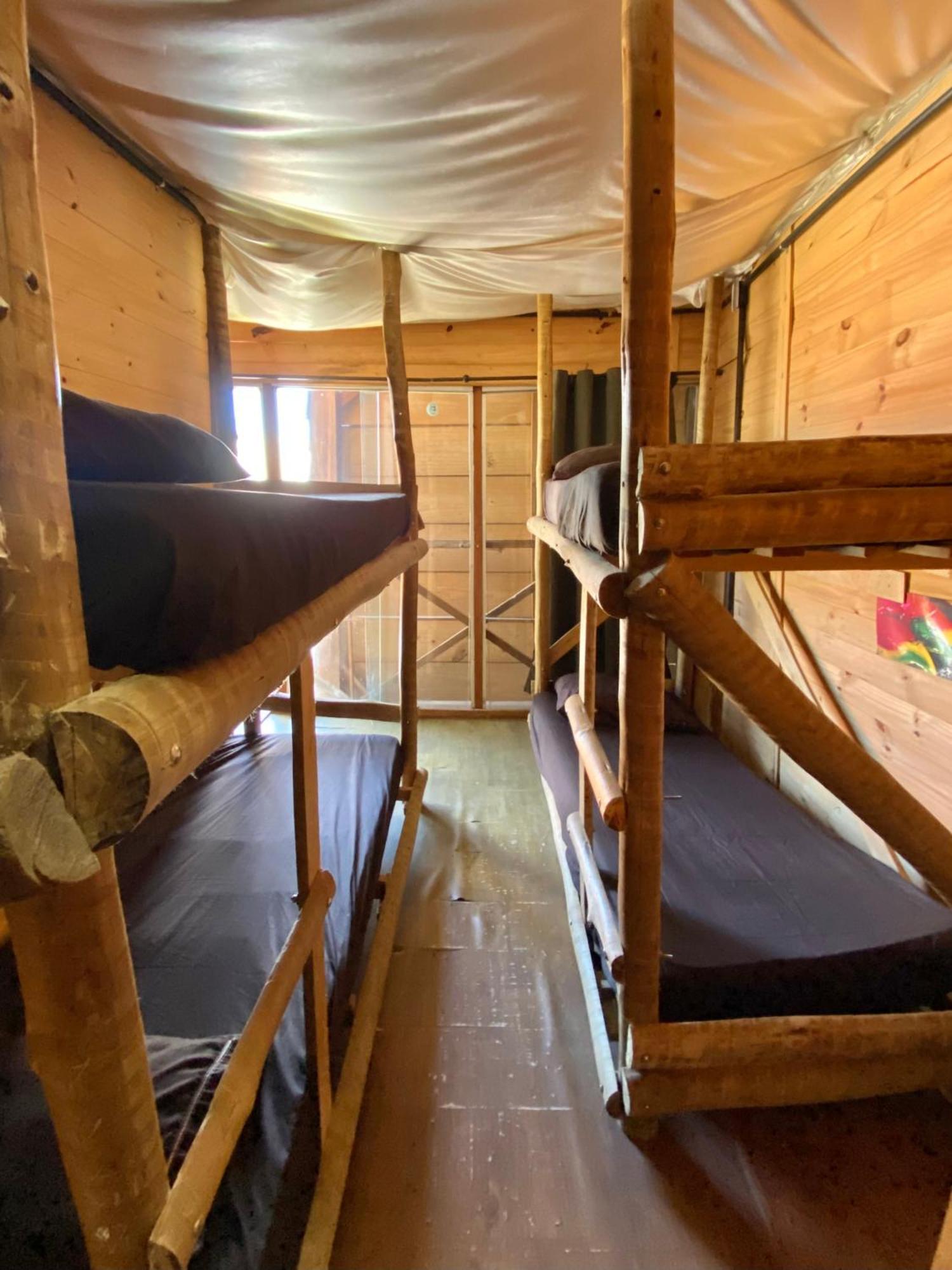4-Bed Mixed Dormitory Room