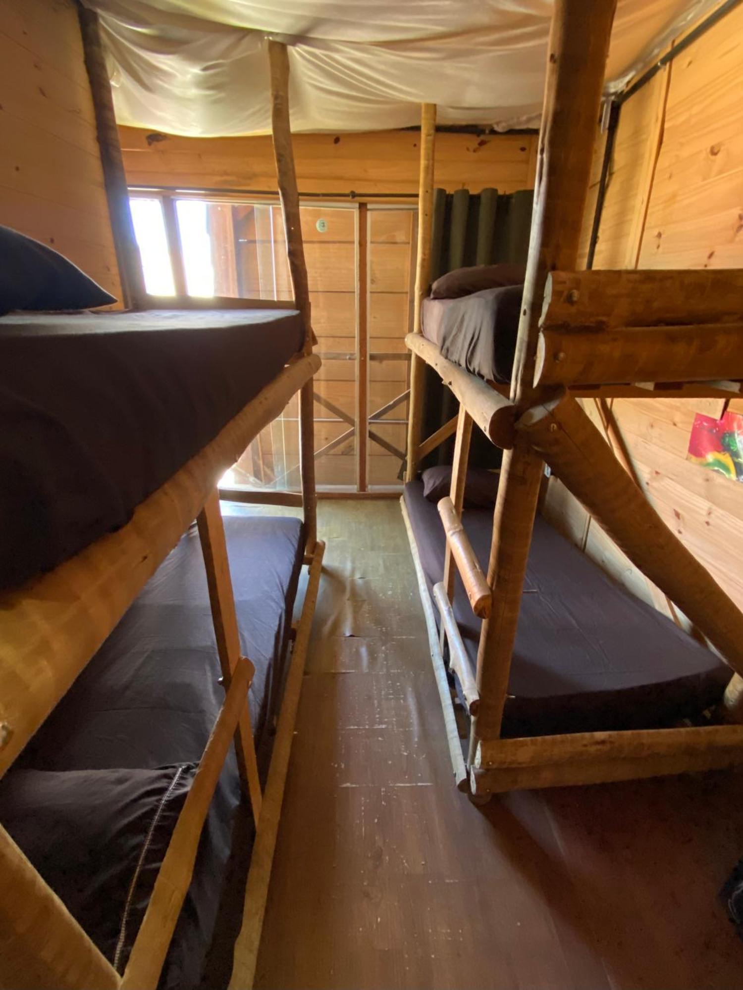 4-Bed Mixed Dormitory Room