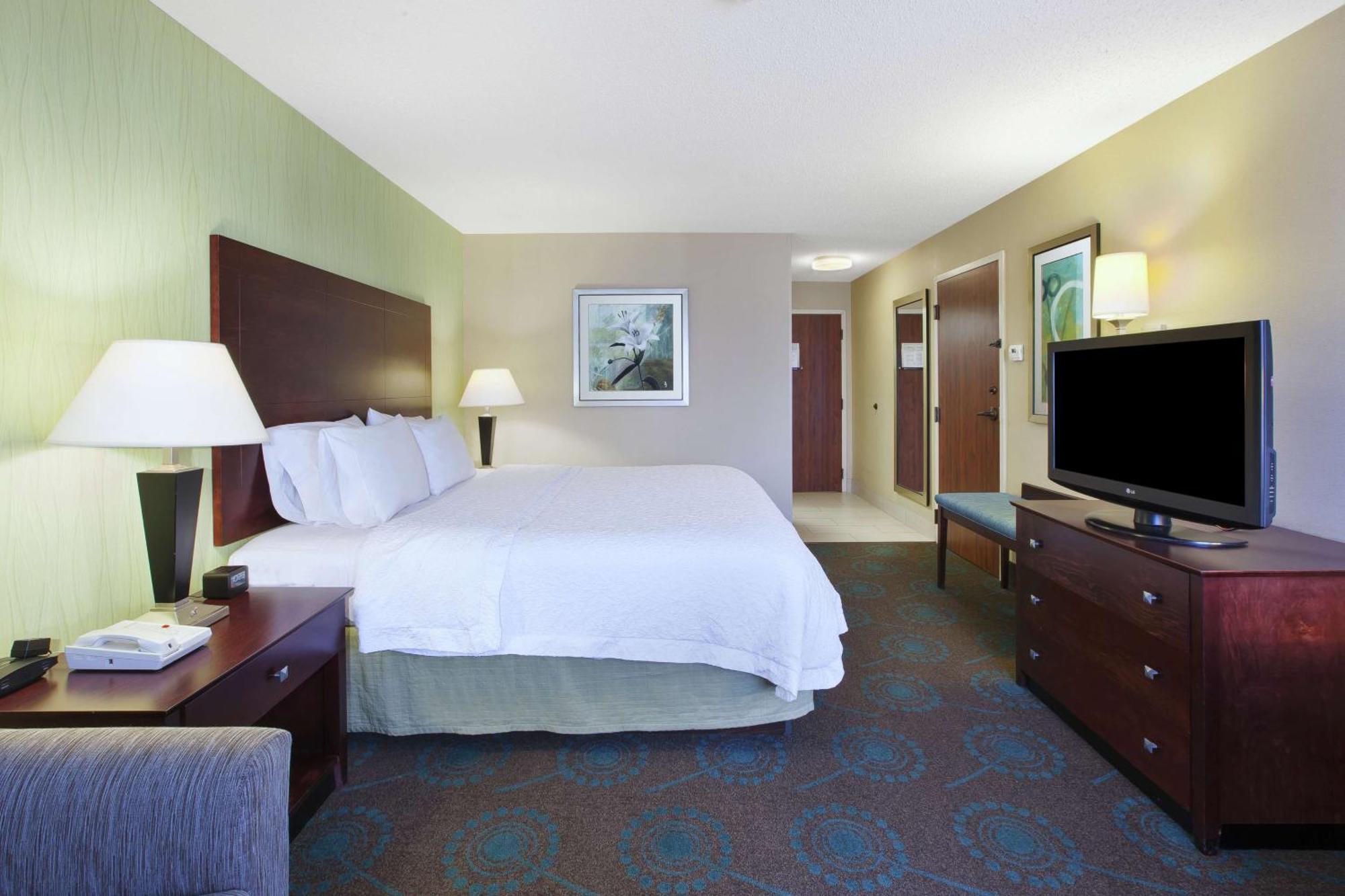 King Room Sofa Bed Hearing Accessible or Non-Smoking