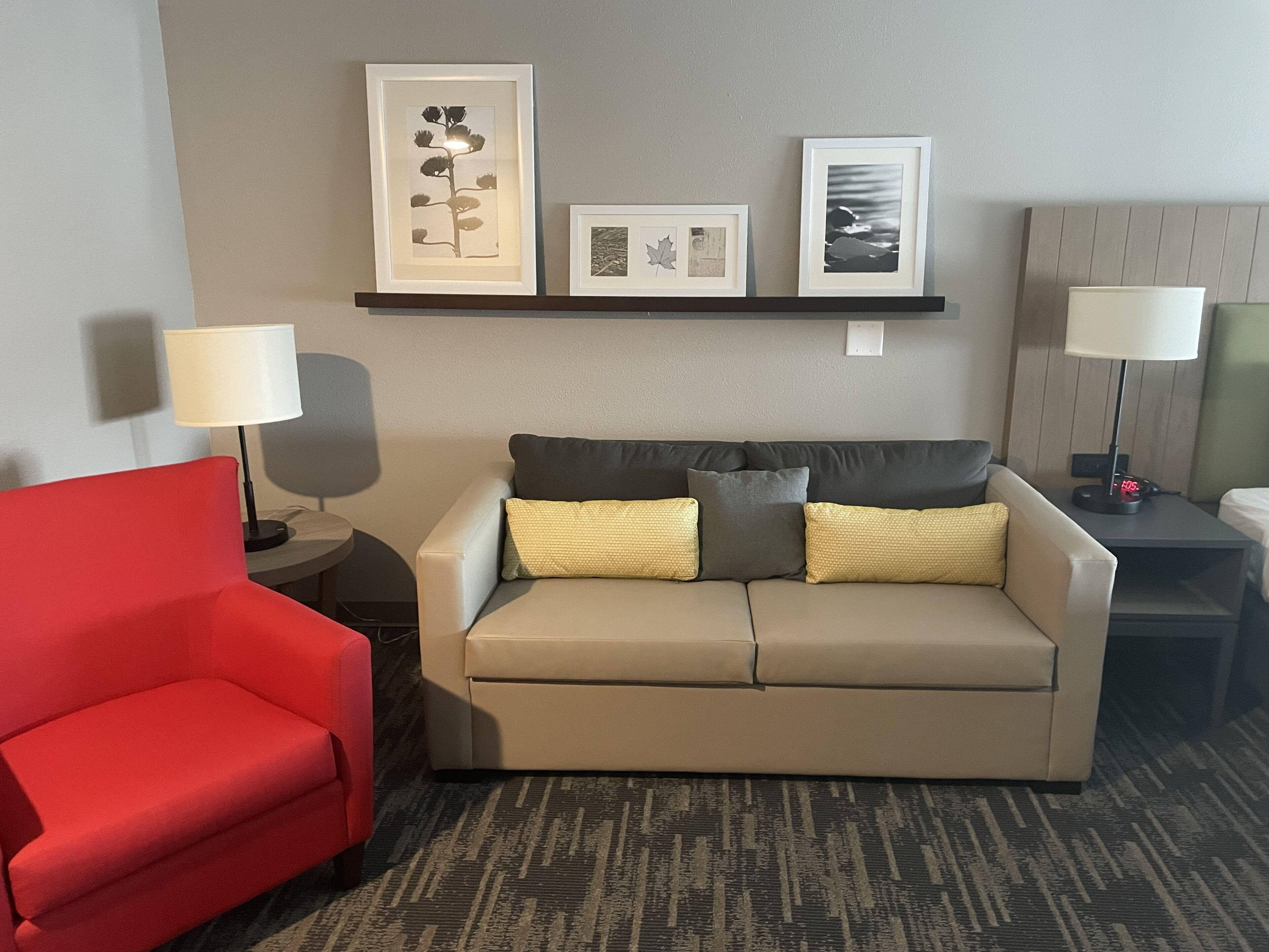 Premium One-Bedroom King Suite Pet Friendly or Non-Smoking