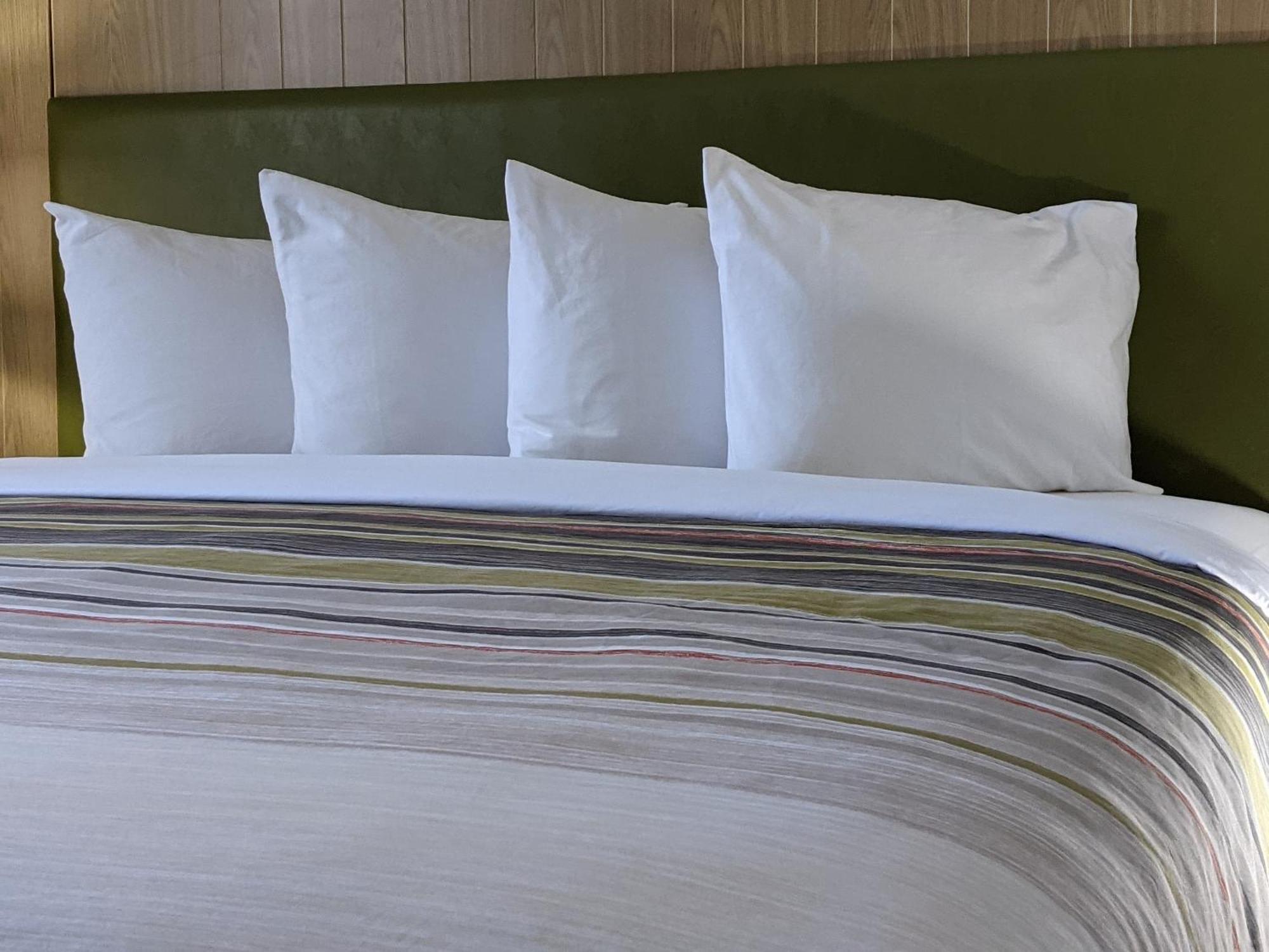 One-Bedroom King Suite Sofa Bed Non-Smoking
