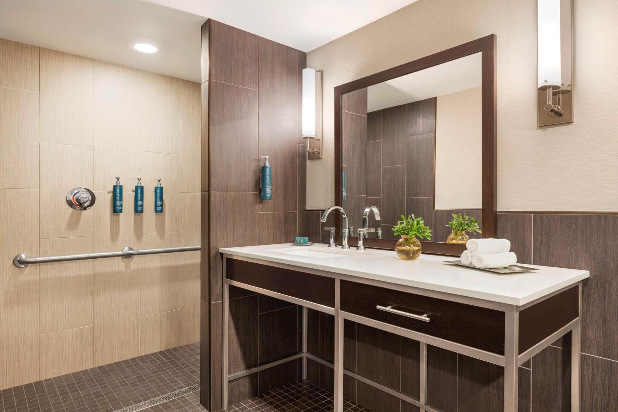 King Room Roll Shower Mobility Access