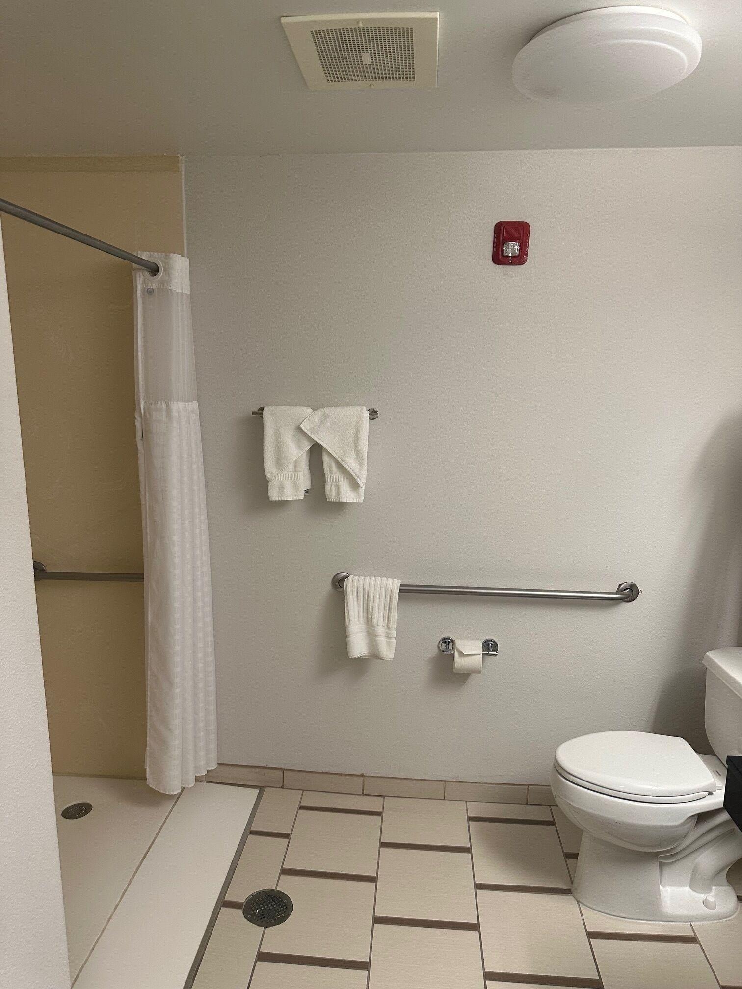 King Room Roll Shower Disability Access or Non Smoking