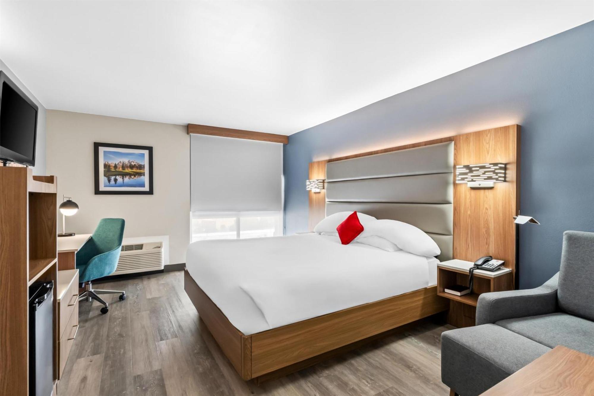 Deluxe One King Bed