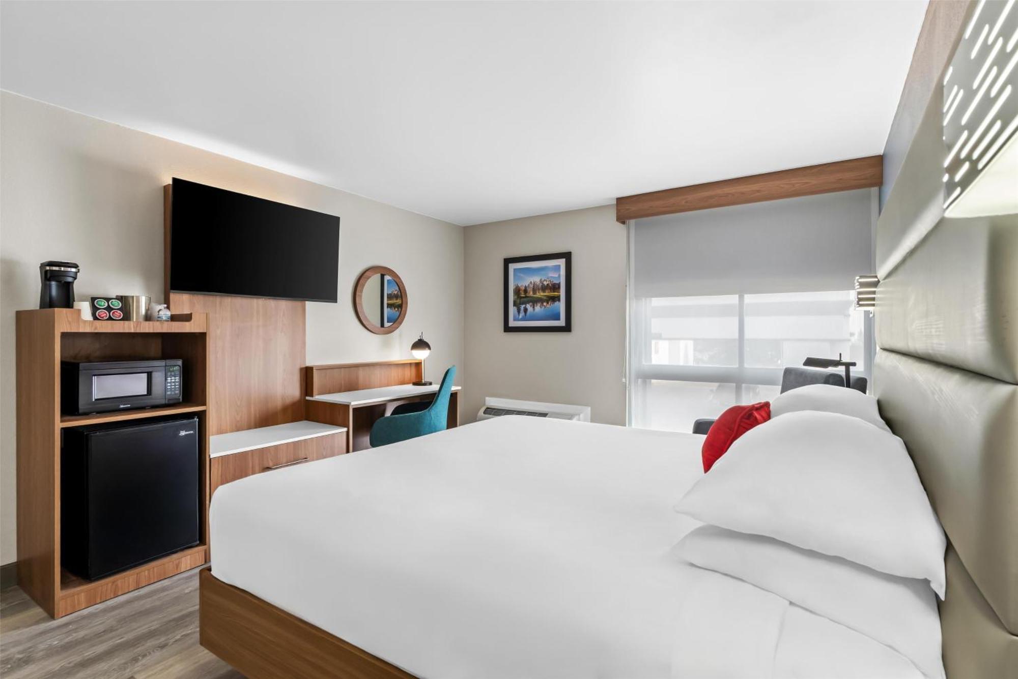 Deluxe One King Bed