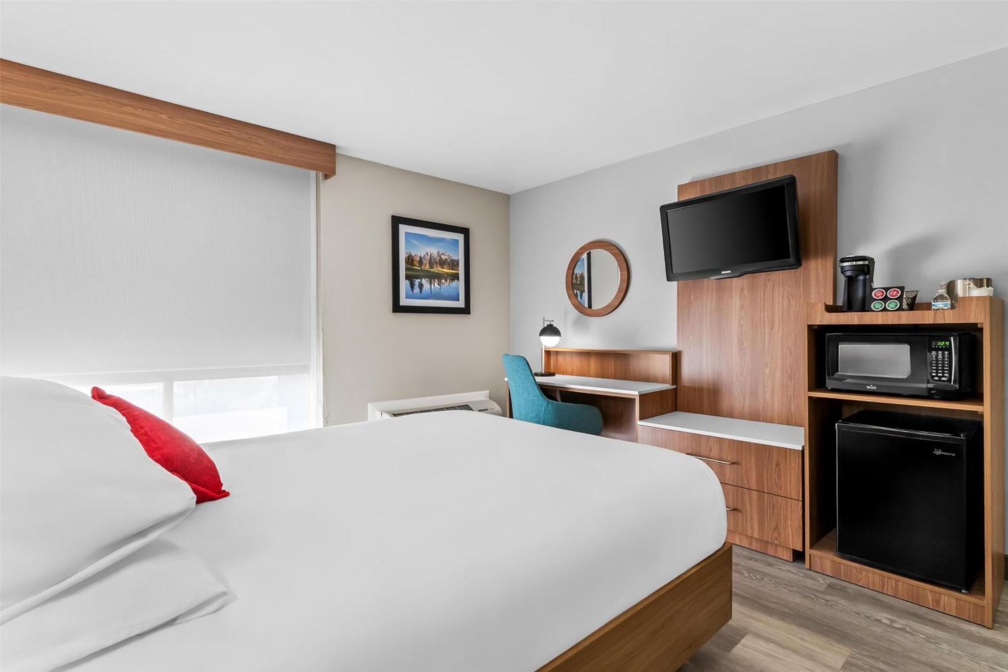 Deluxe One Queen Bed Pet Friendly
