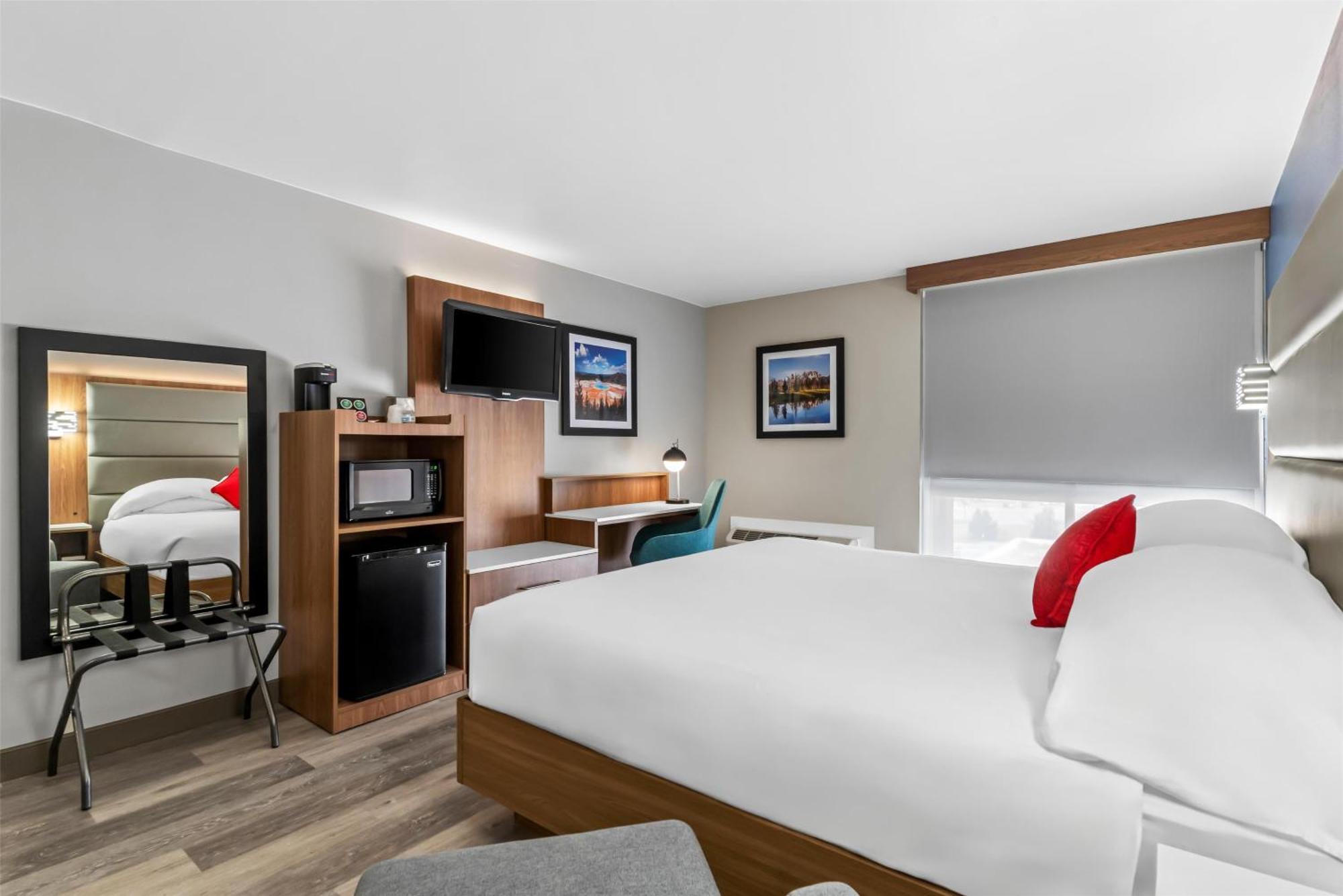 Deluxe One Queen Bed Pet Friendly