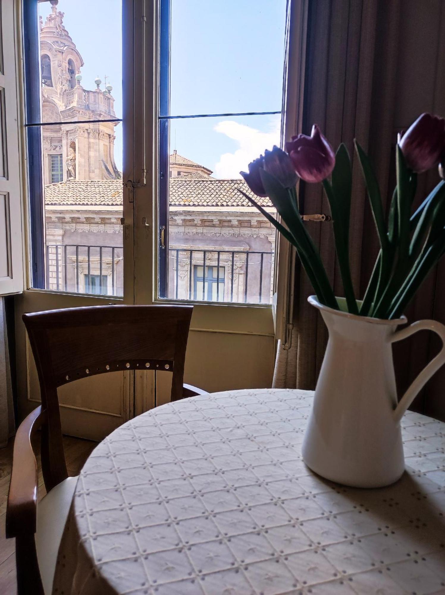 Superior Double Room with City View,1716997341:JPEG