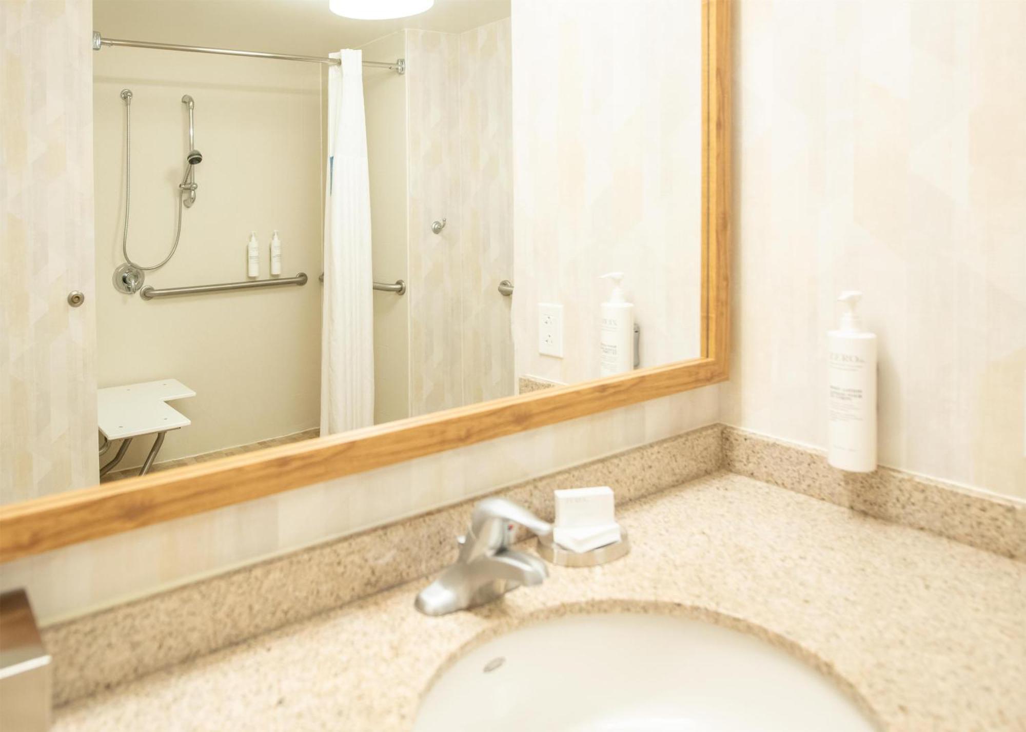 King Room with Roll-In Shower - Mobility Access/Non-Smoking
